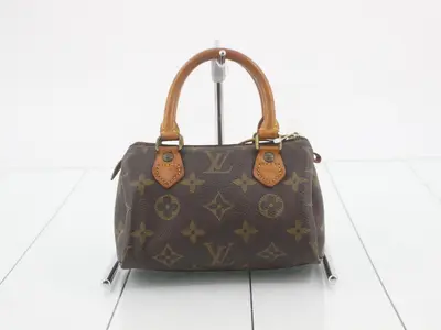 Mini Speedy Monogram Handbag