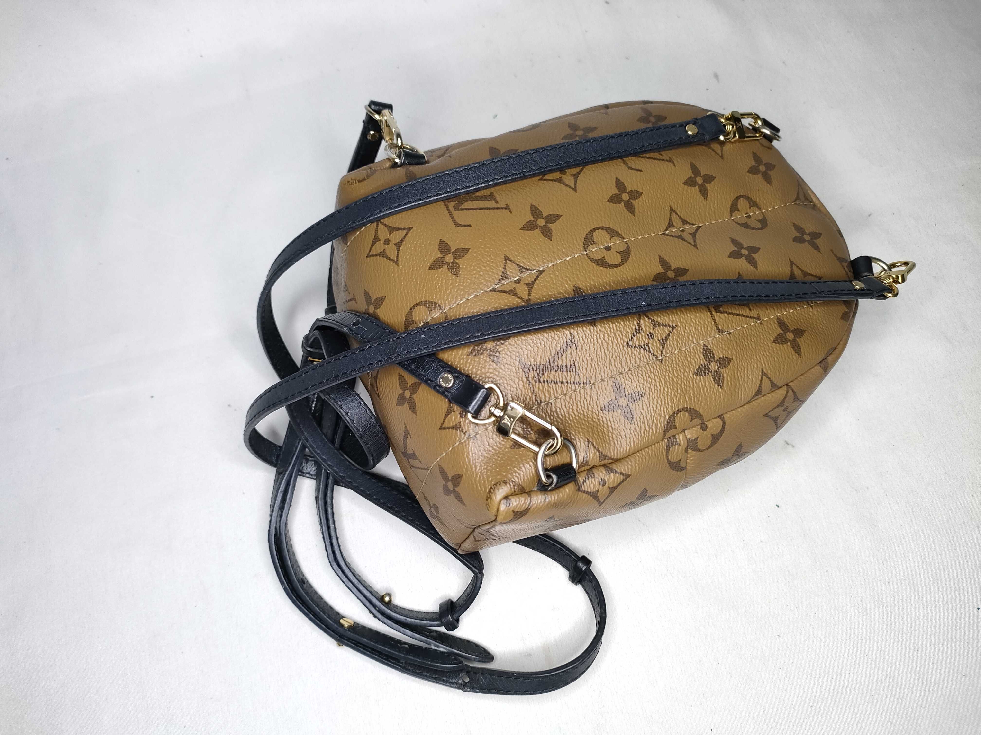Monogram Reverse Palm Springs Backpack MINI FL1129 Rucksack — view 3