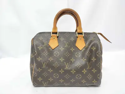 Monogram Speedy 25 M41528 Boston Bag