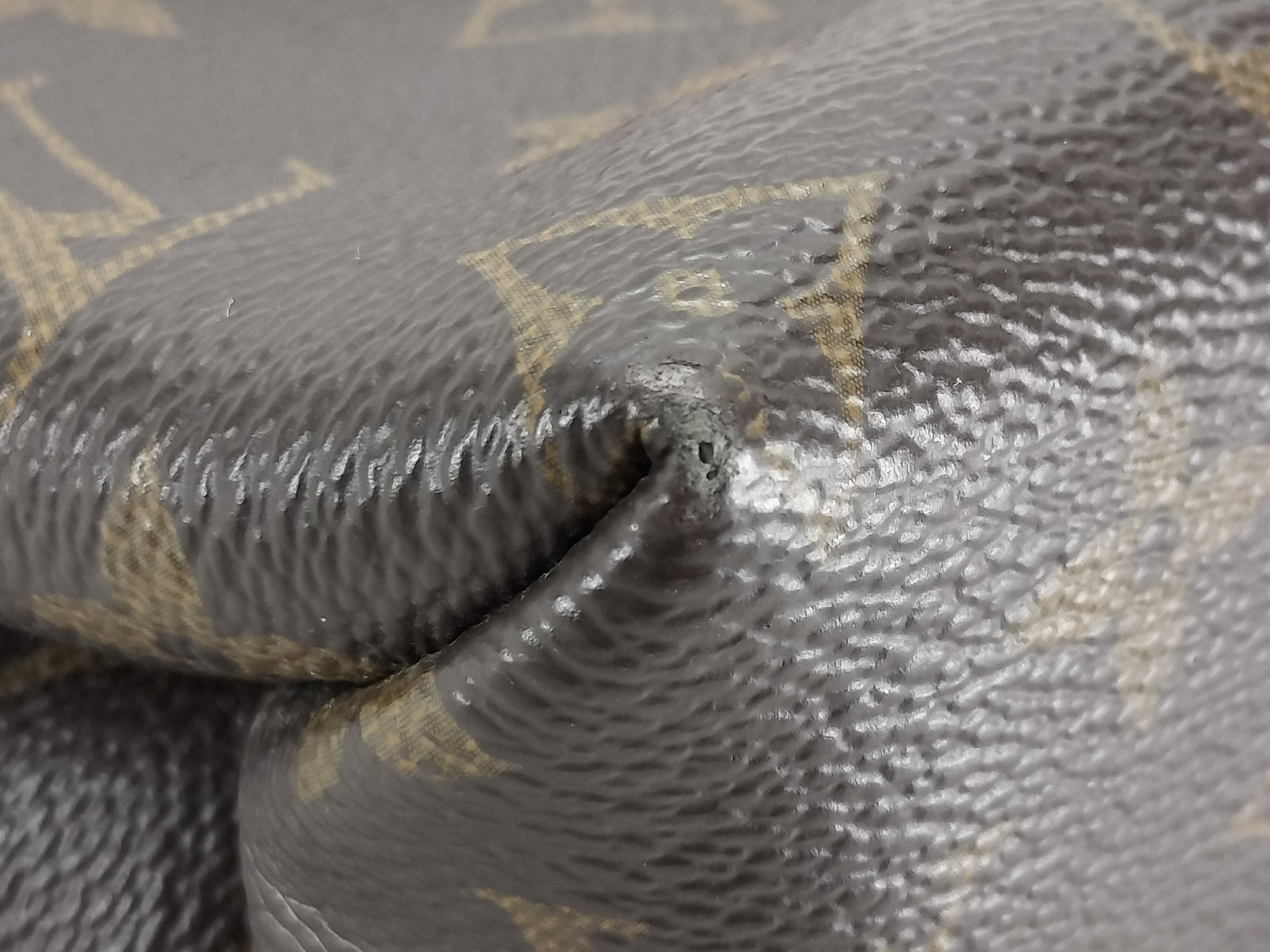 Monogram Saint Placide Shoulder Bag — view 6