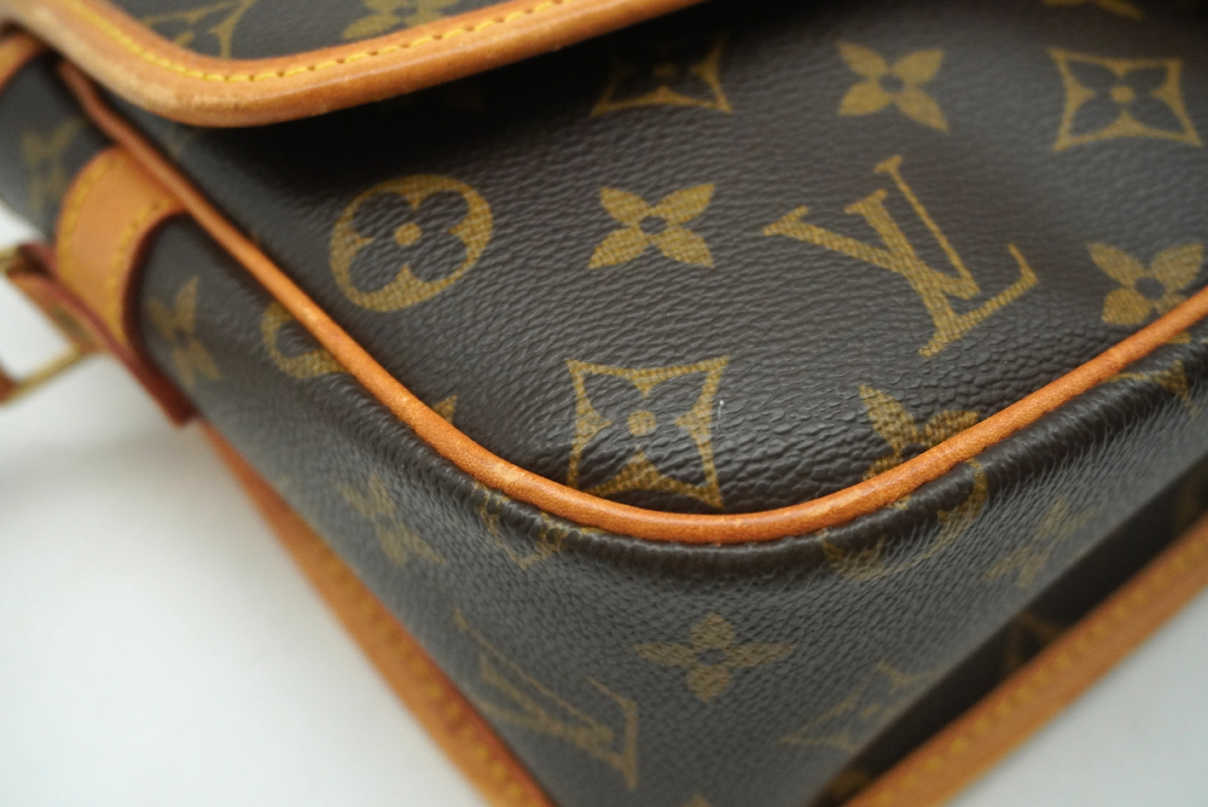 Monogram Sologne M42250 Shoulder Bag — view 10