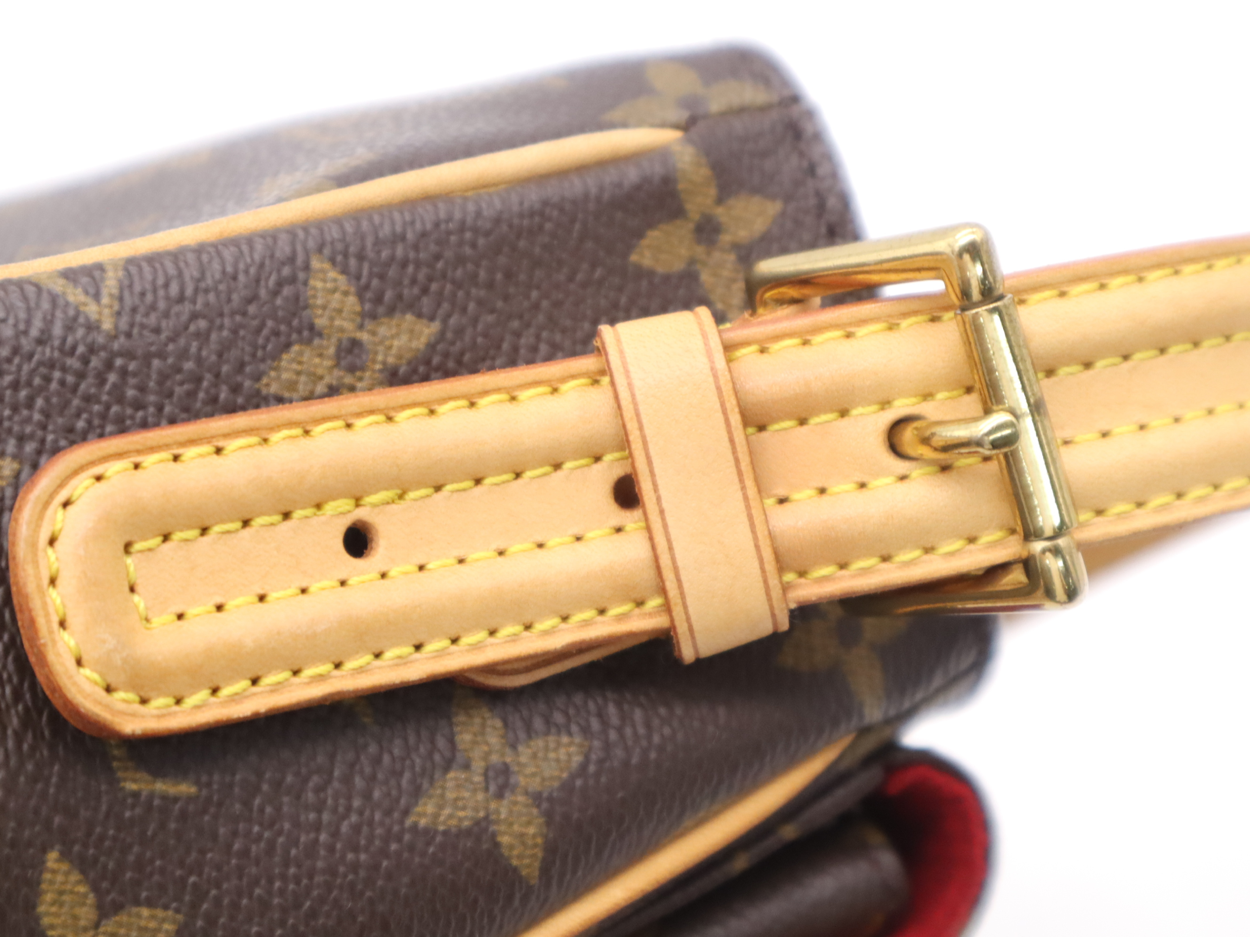Monogram Viva-Cite MM Shoulder Bag with Dust Bag — view 7