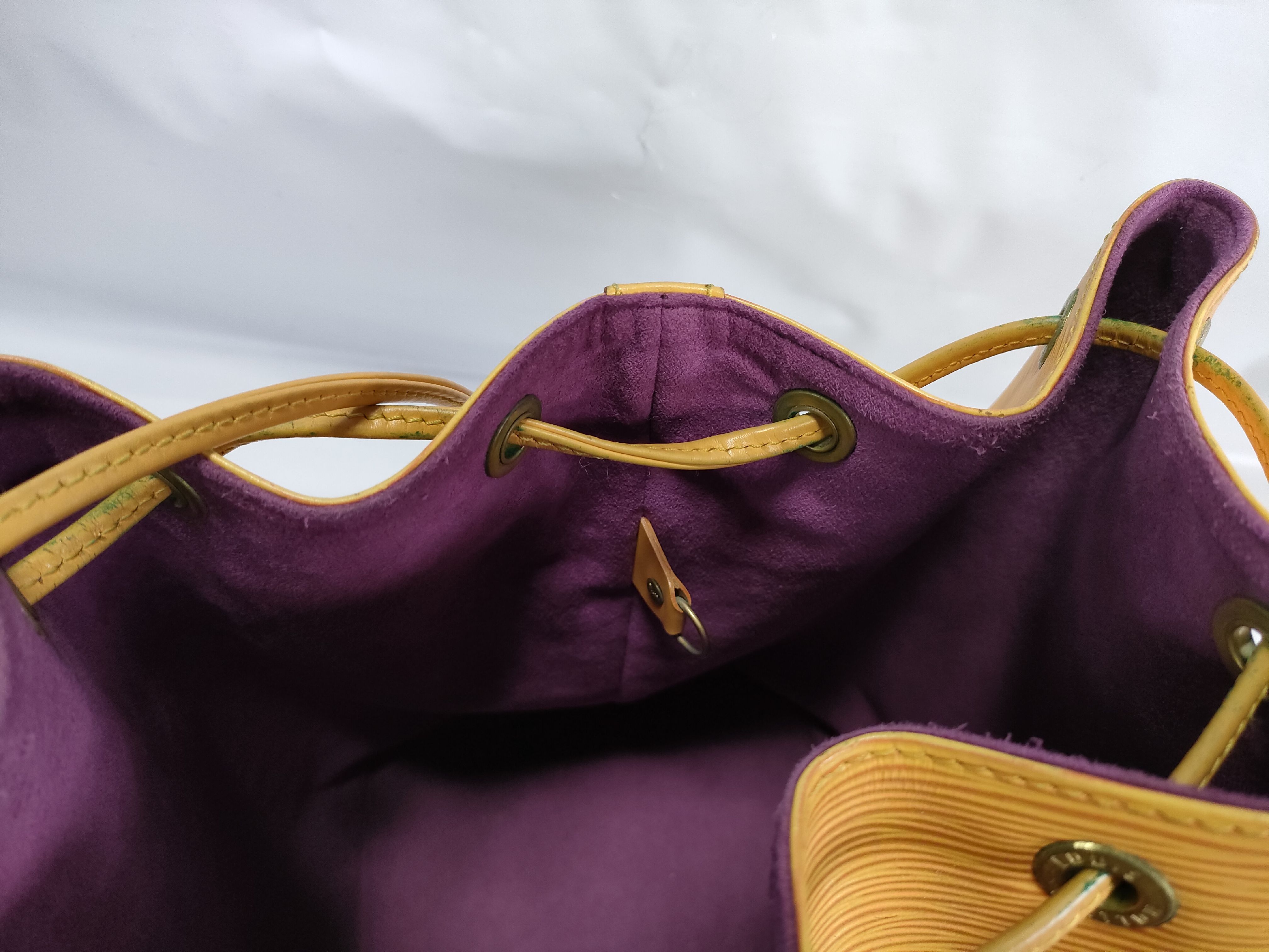 Epi Noe Shoulder Bag — view 10
