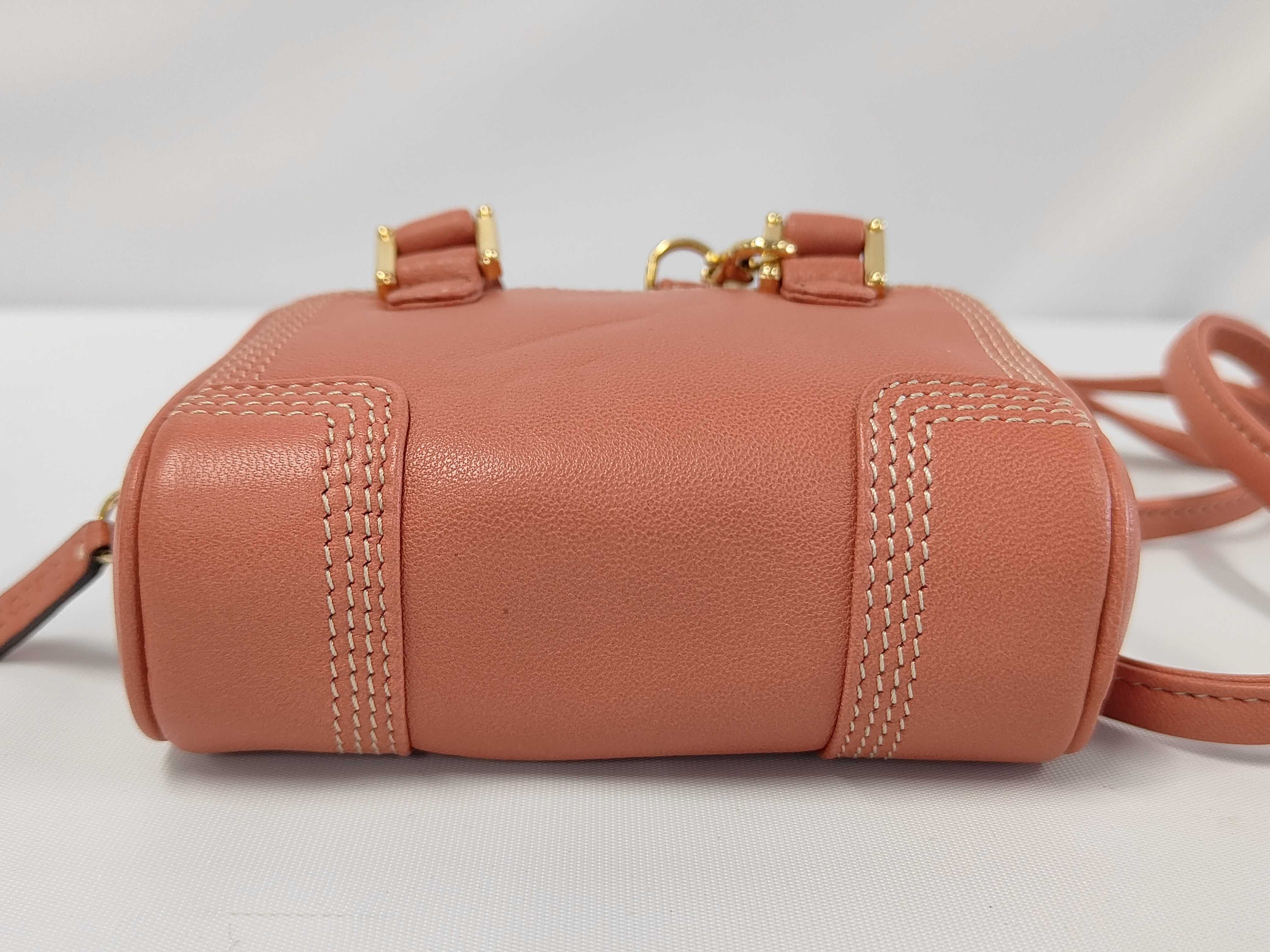 Amazona Micro Mini Shoulder Bag. Accessories: Box, shoulder strap, coin case. — view 4