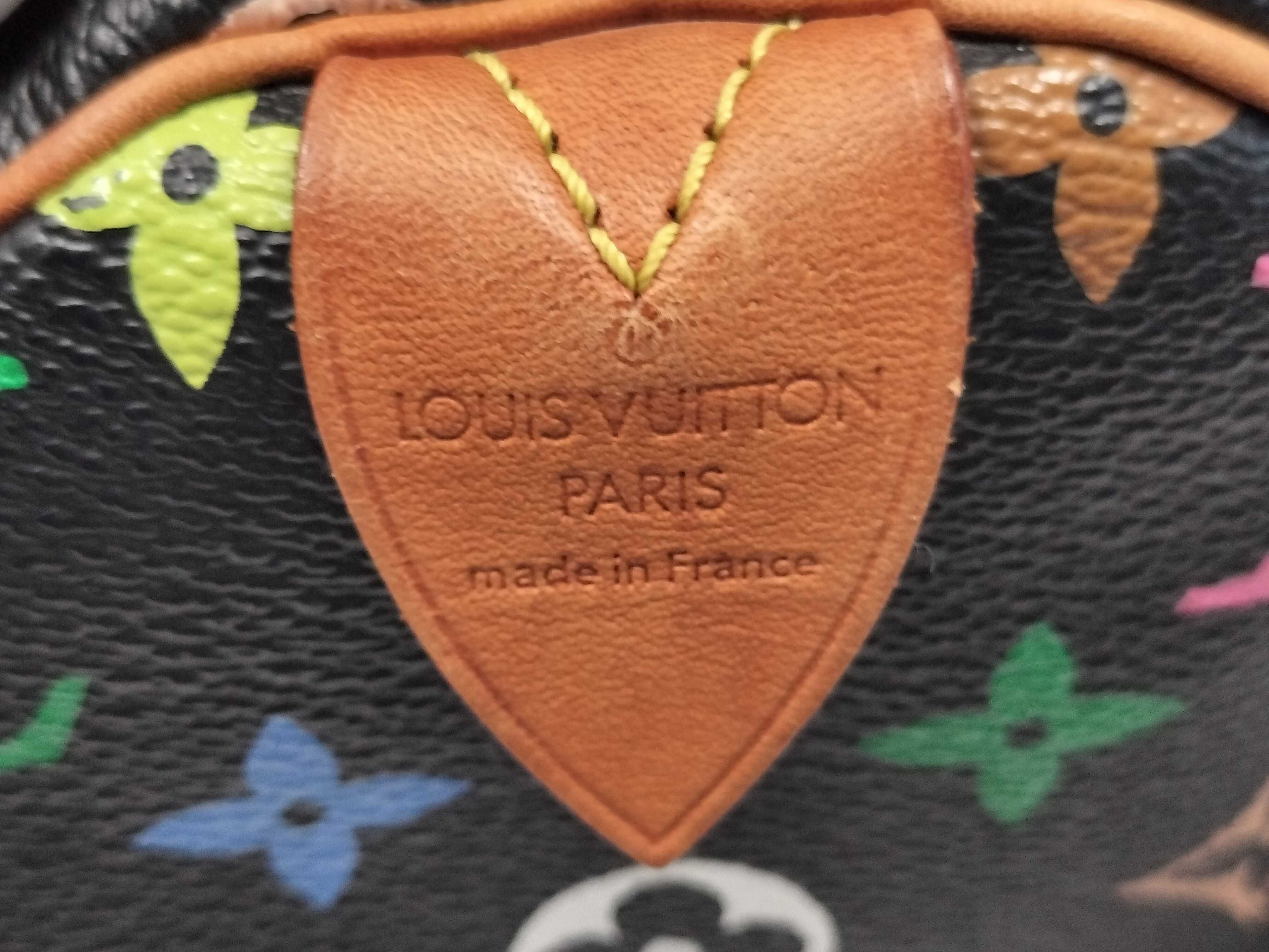 Monogram Multicolor Louis Vuitton Monogram Speedy Handbag Shoulder Bag Boston Bag — view 14
