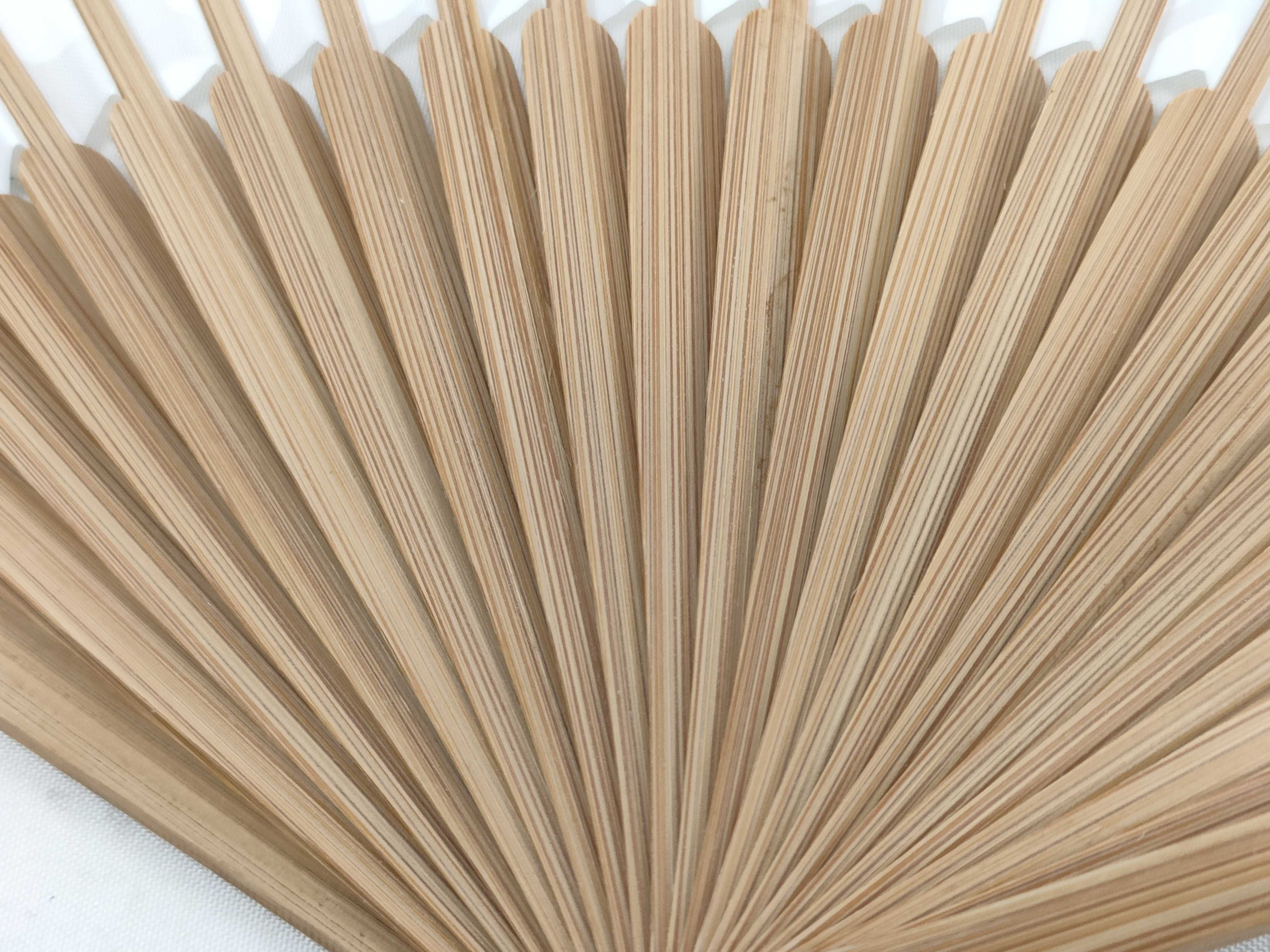 Fondation Fan / Model Number Unknown / Serial Number Unknown / Wood and Other Accessories — view 9
