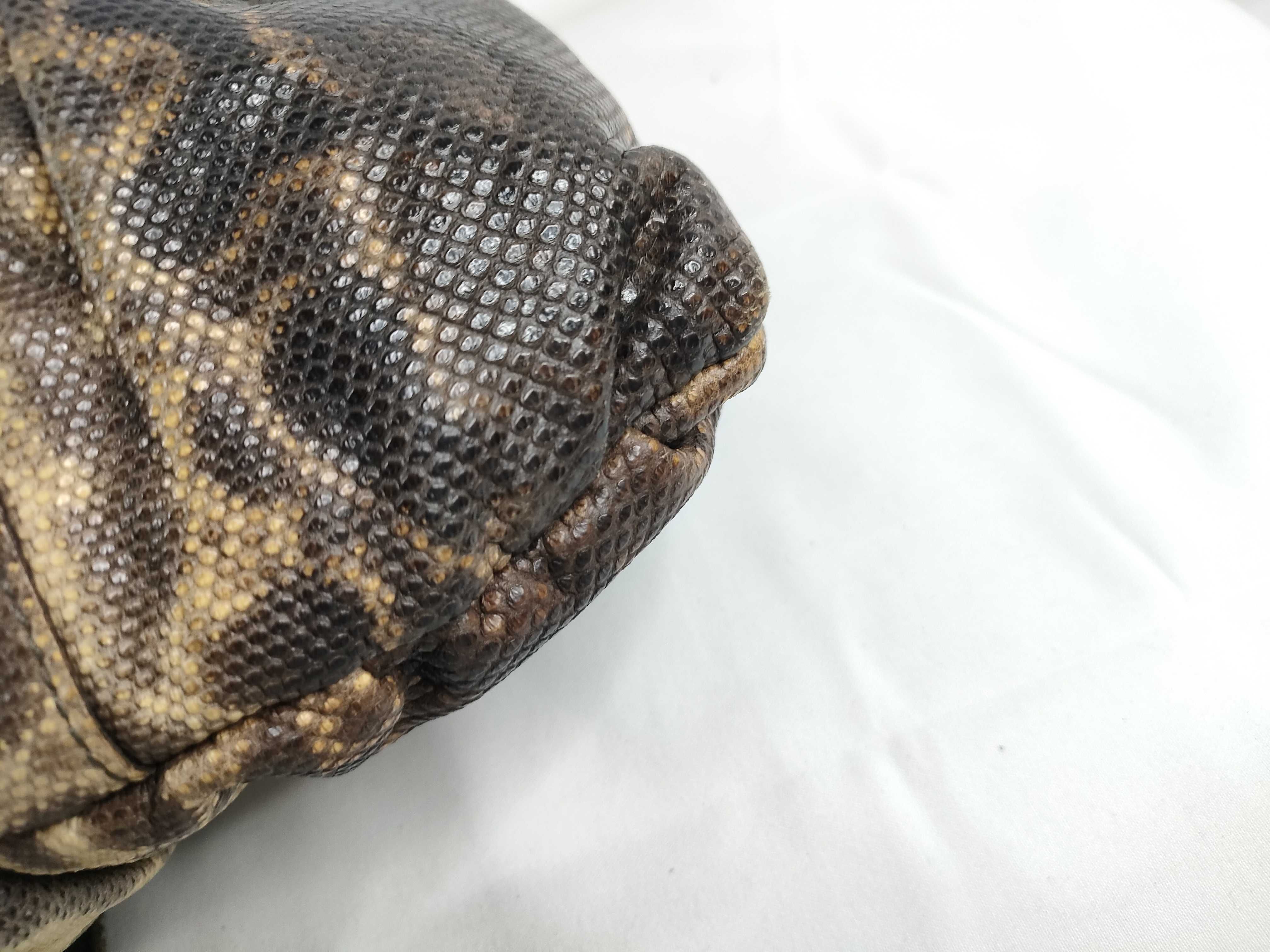 Lizard Mombasa Handbag — view 5
