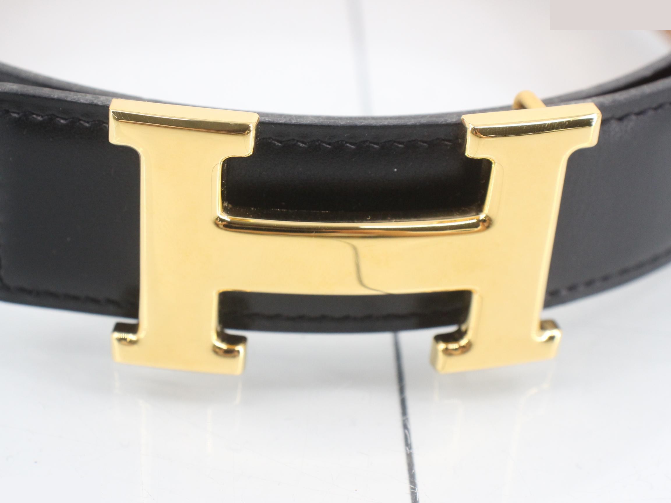 Constance Belt — view 3