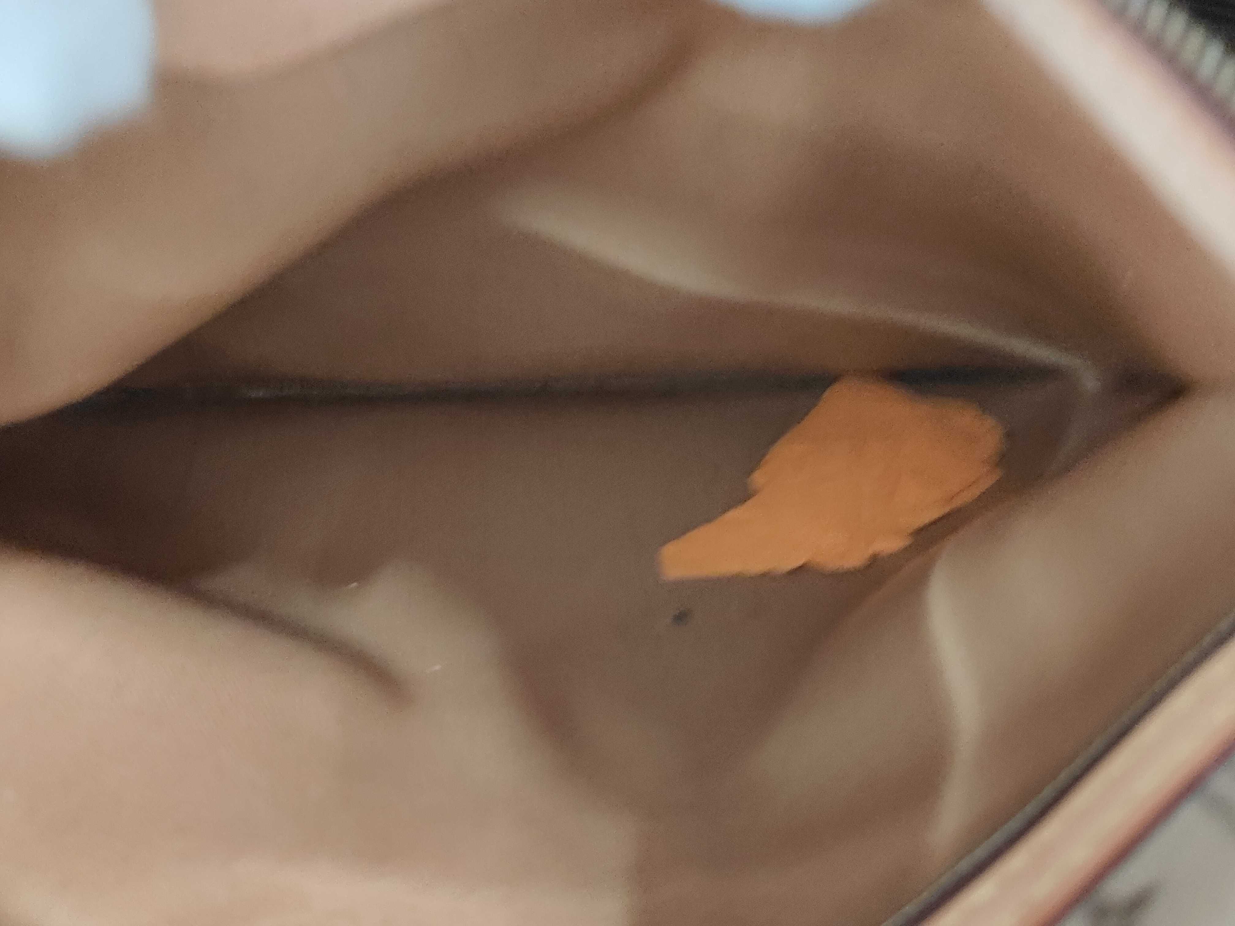 Monogram M40157 Neverfull GM (older model) - has a slight odor. — view 10