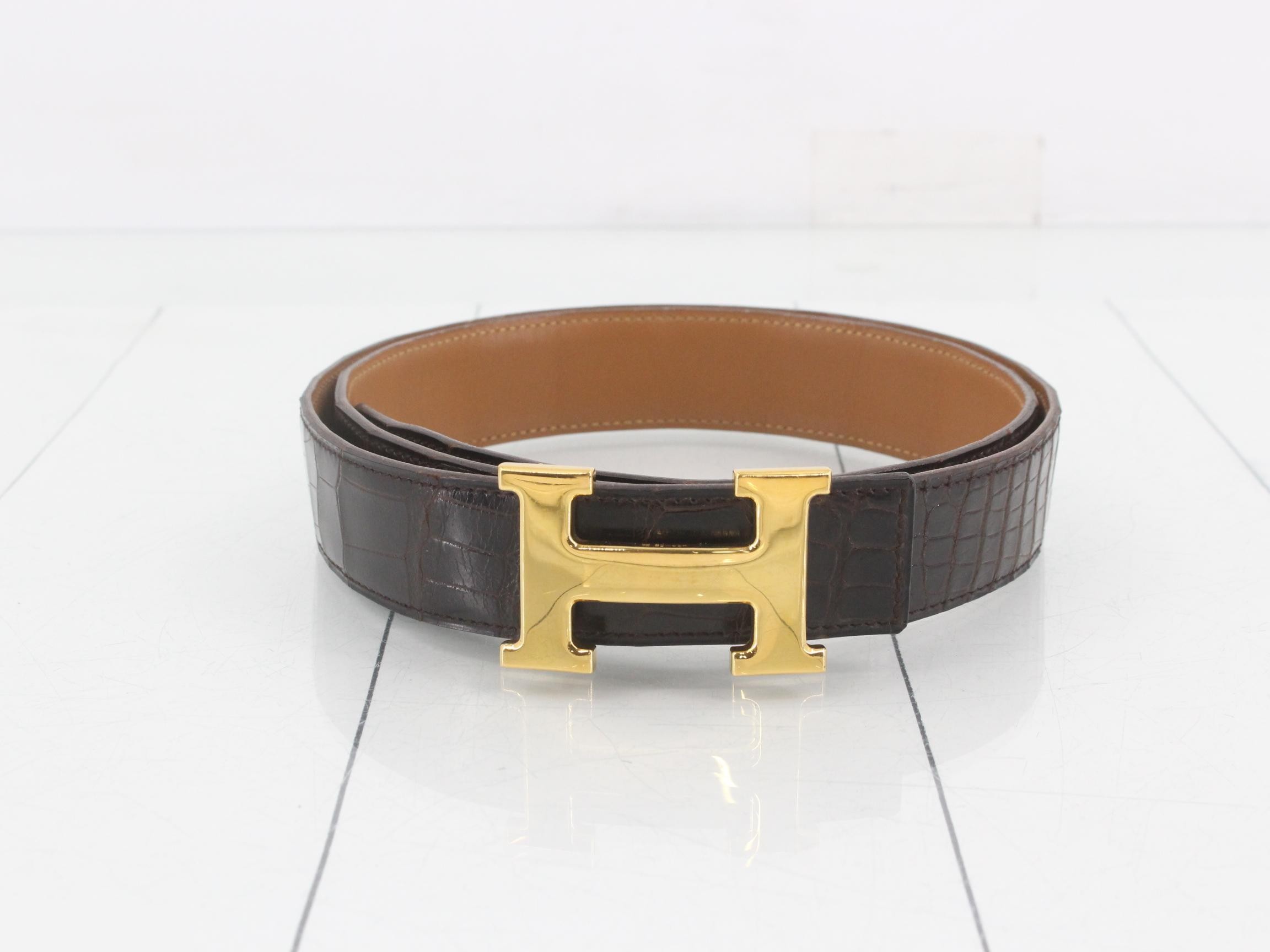 Constance H Belt, Brown Alligator
