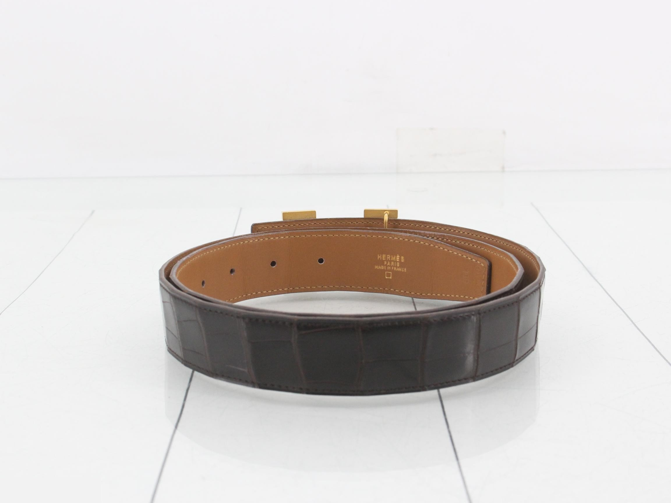 Constance H Belt, Brown Alligator — view 2