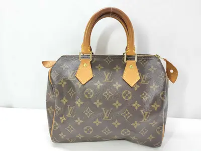 Monogram Speedy 25 Handbag with Key and Padlock