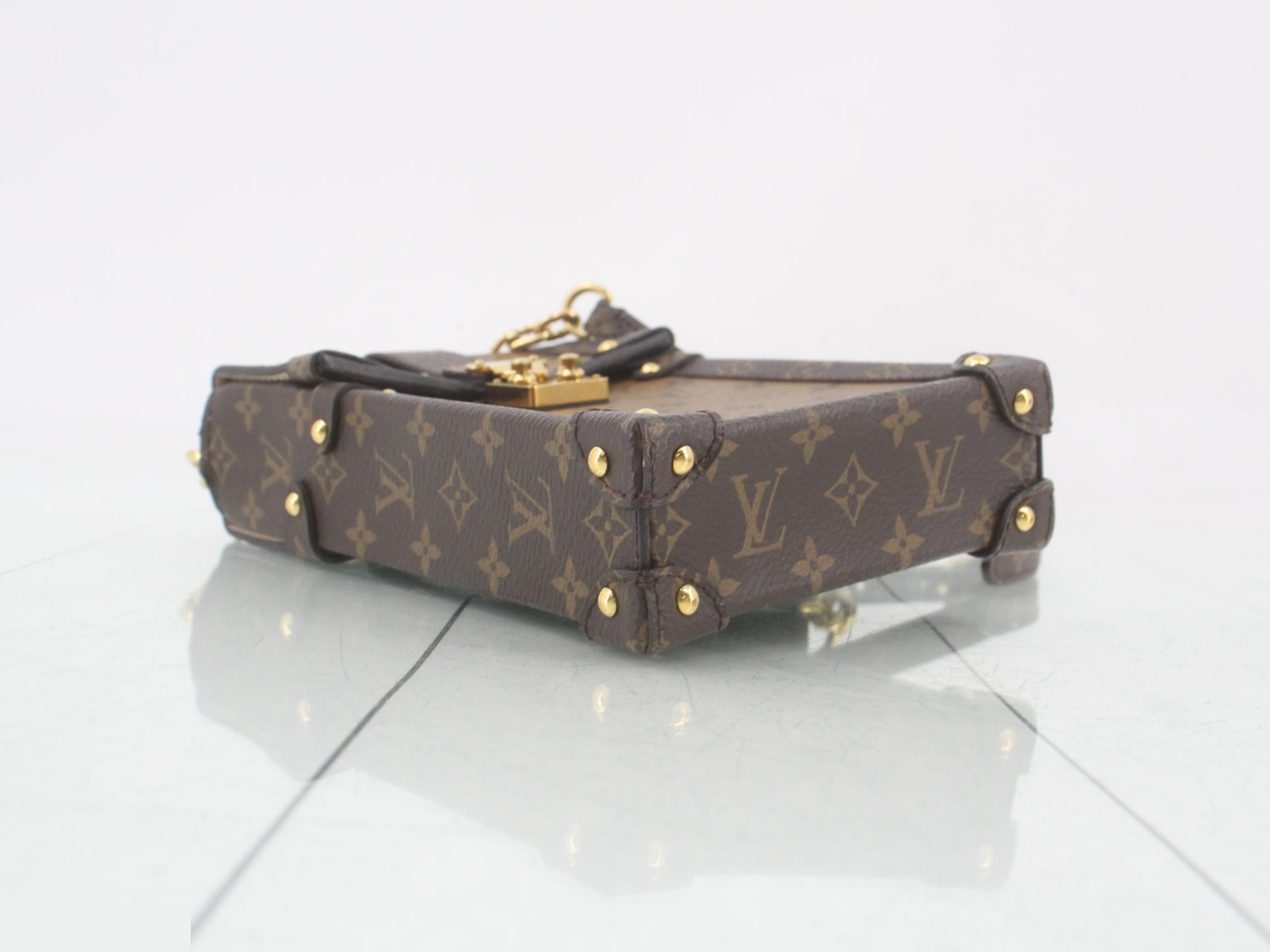 Reverse Pochette Trunk Vertical Shoulder Bag — view 5