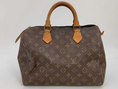 Monogram Louis Vuitton Speedy 30 Monogram Handbag