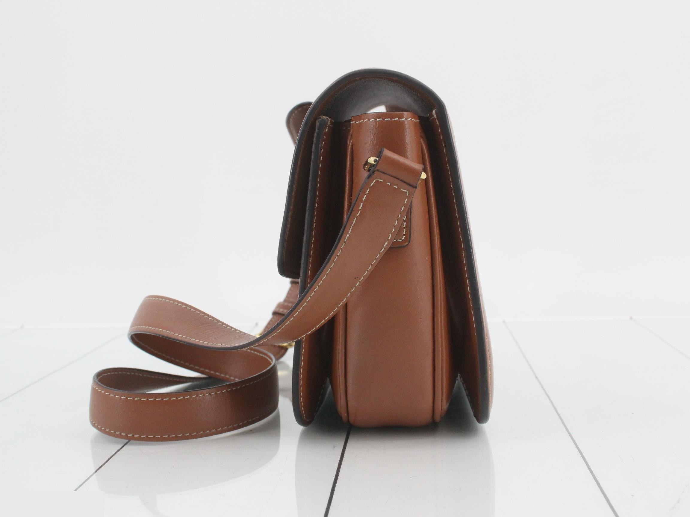 Classic Triomphe Canvas Shoulder Bag — view 3