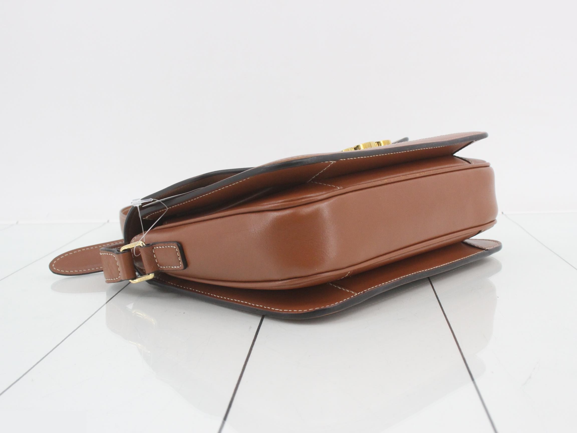 Classic Triomphe Canvas Shoulder Bag — view 5