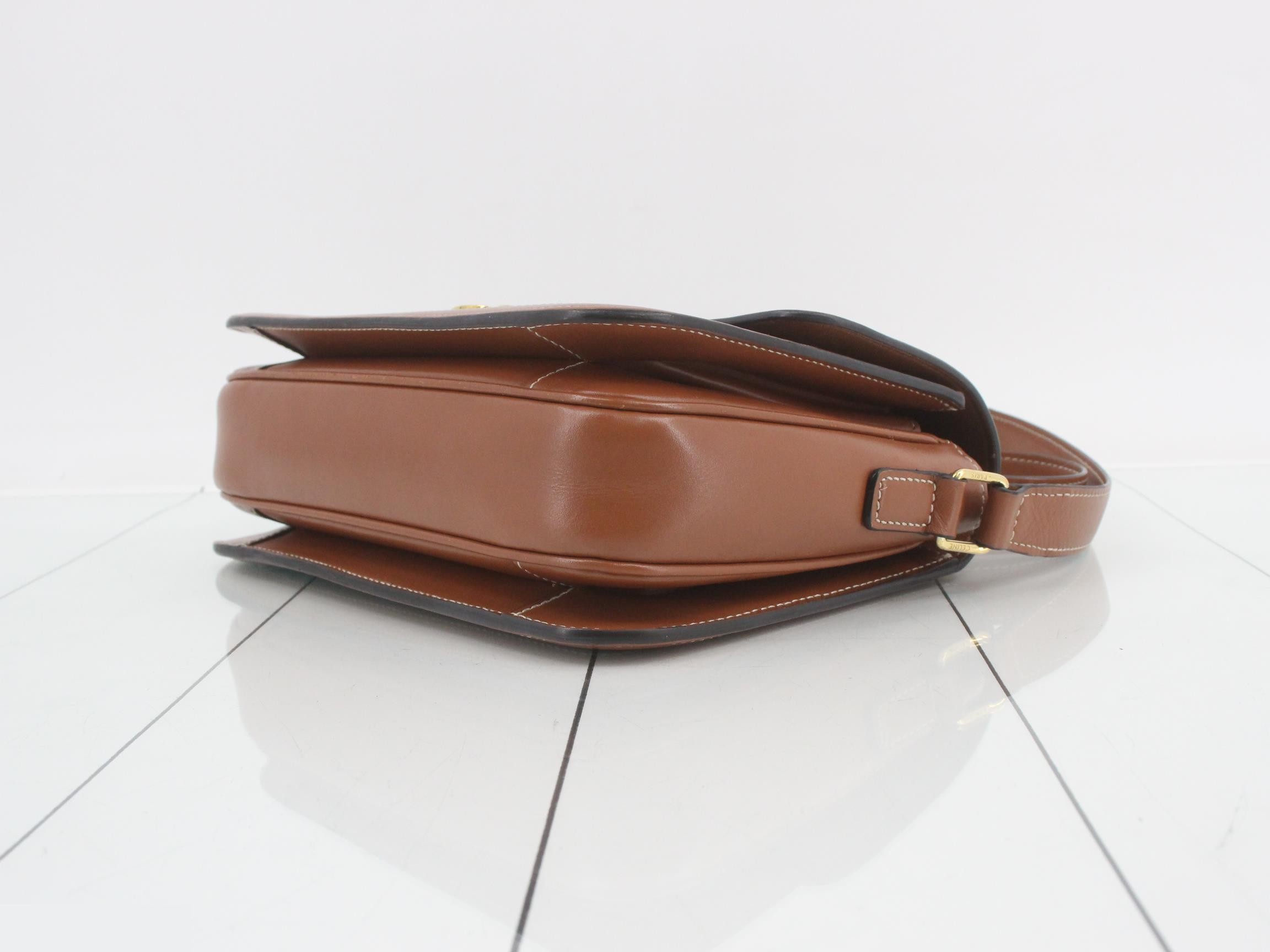 Classic Triomphe Canvas Shoulder Bag — view 6