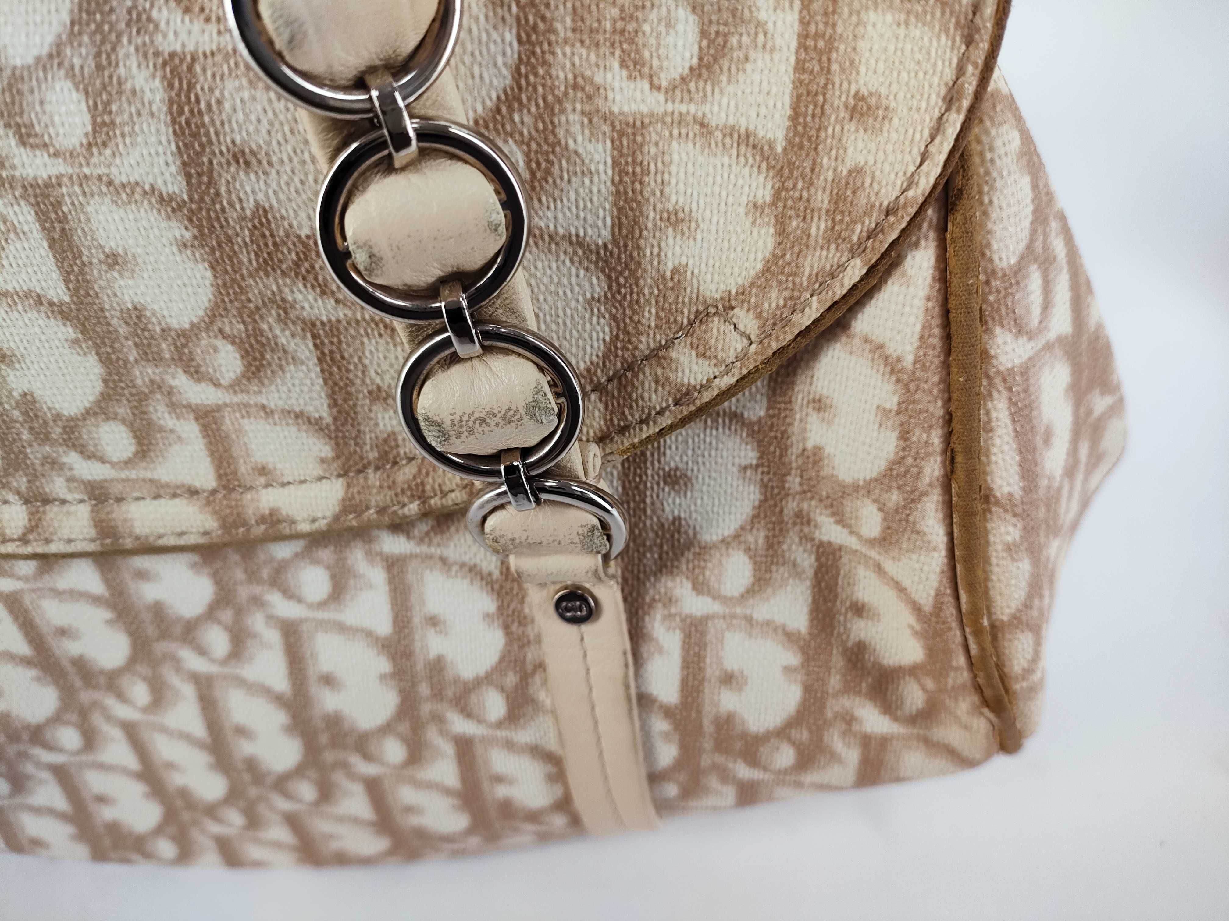 Trotter Christian Dior Handbag Romantic Trotter Oblique Handbag — view 14