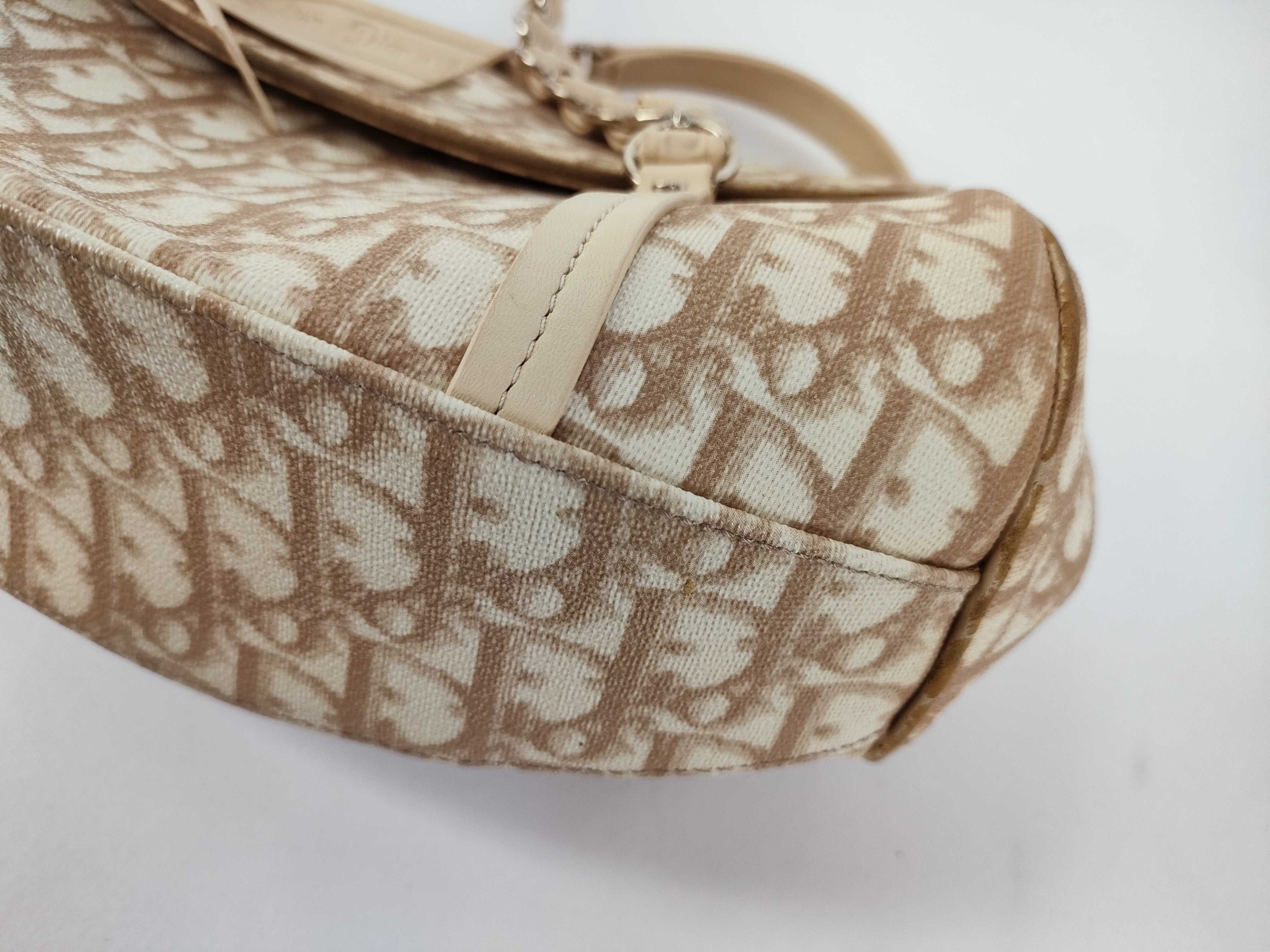 Trotter Christian Dior Handbag Romantic Trotter Oblique Handbag — view 6