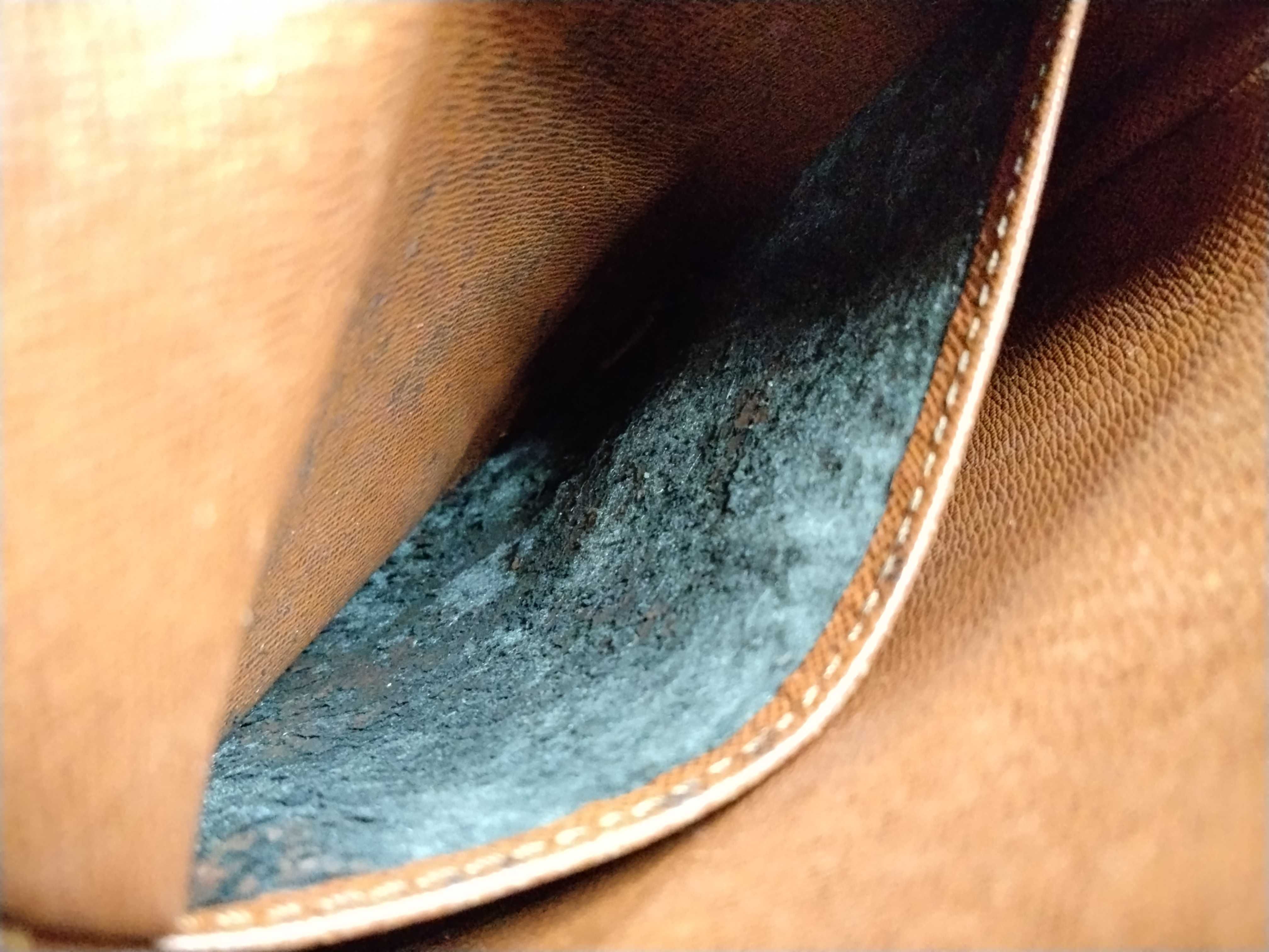 Monogram M45236 Amazon Shoulder Bag — view 8