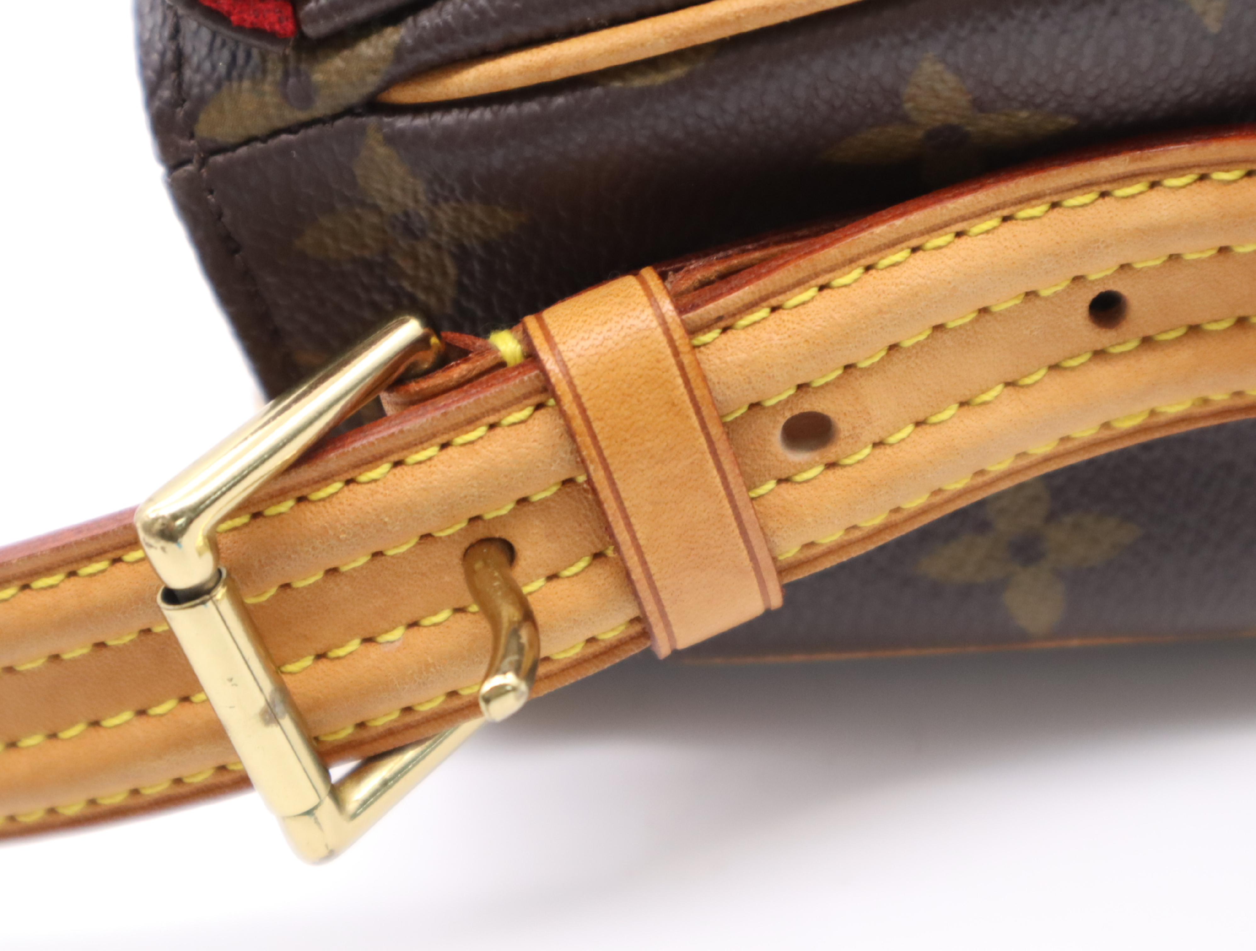 M51164 Monogram Viva Cite MM Shoulder Bag — view 11
