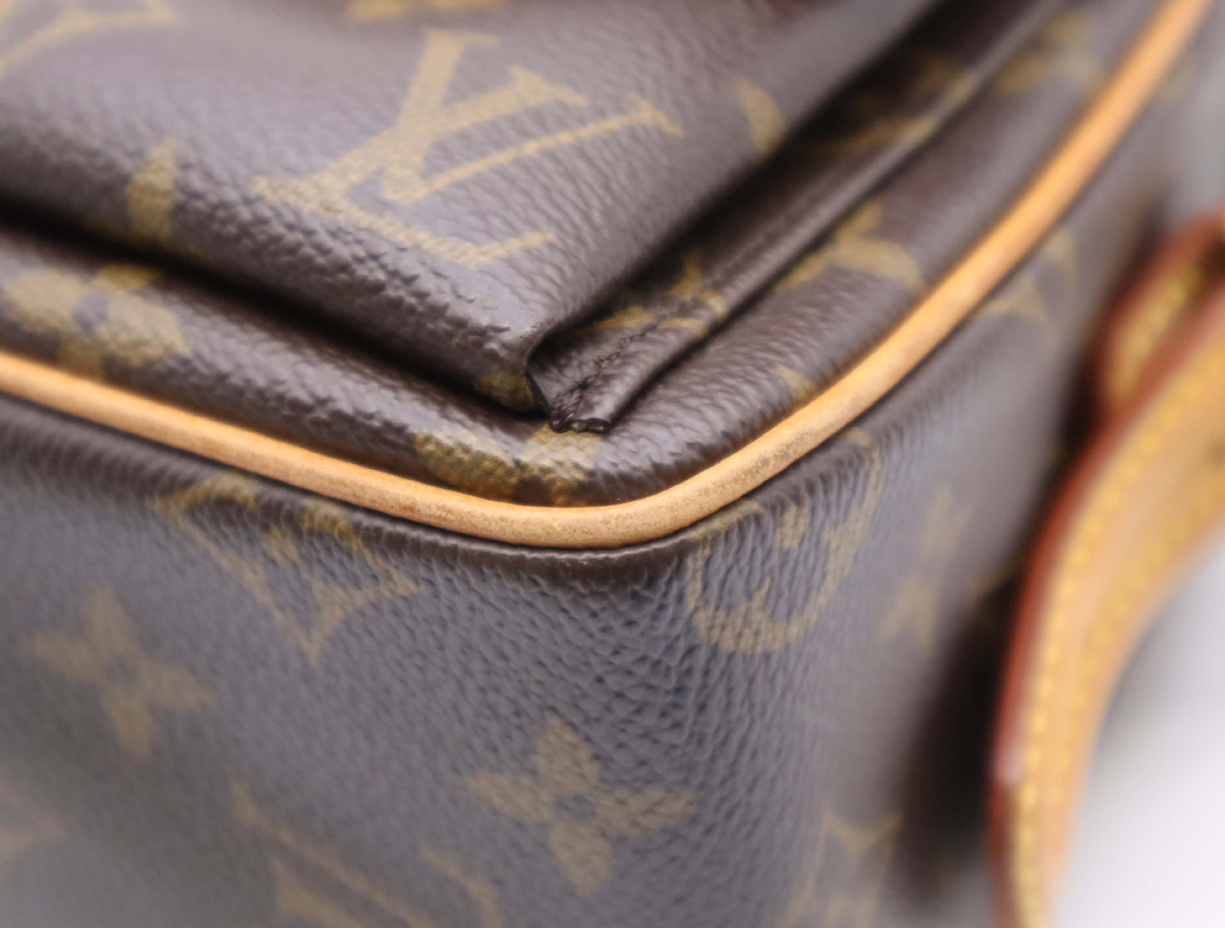 M51164 Monogram Viva Cite MM Shoulder Bag — view 7