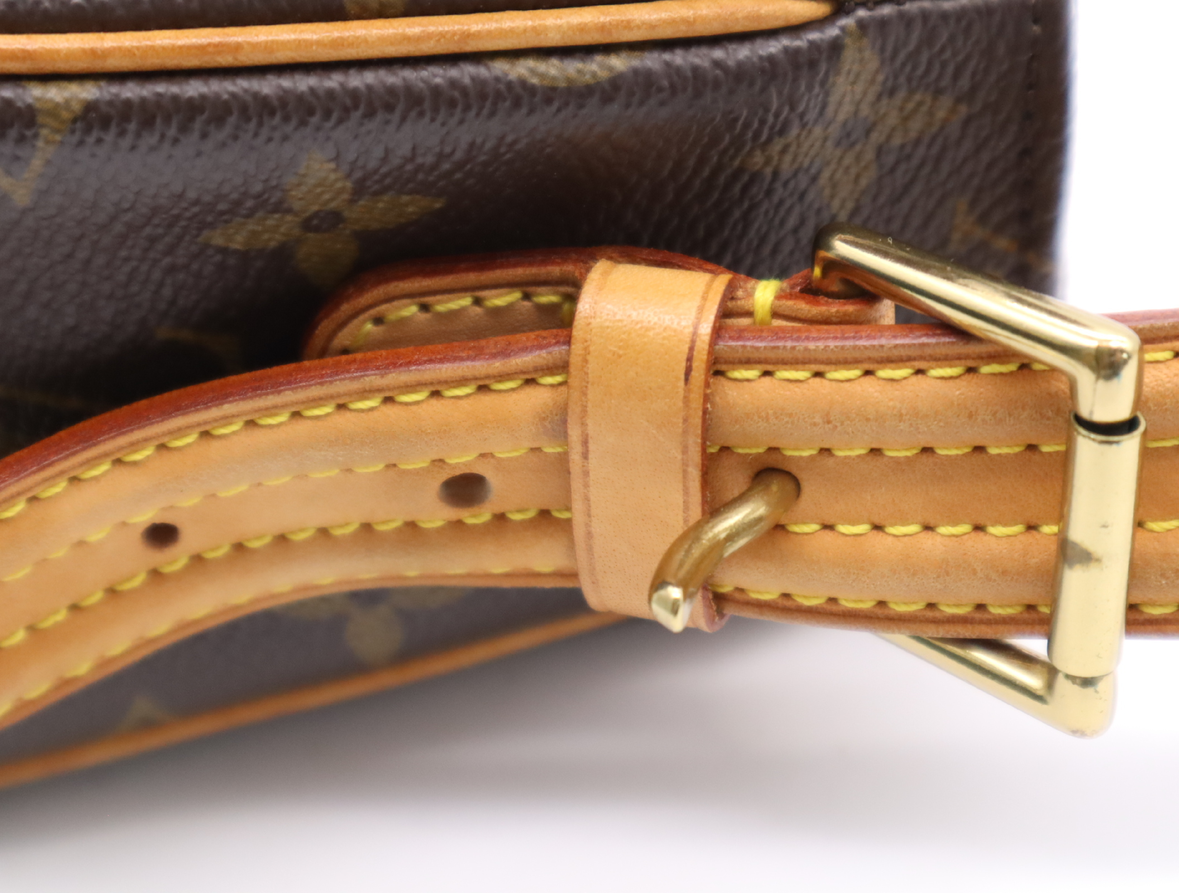 M51164 Monogram Viva Cite MM Shoulder Bag — view 8