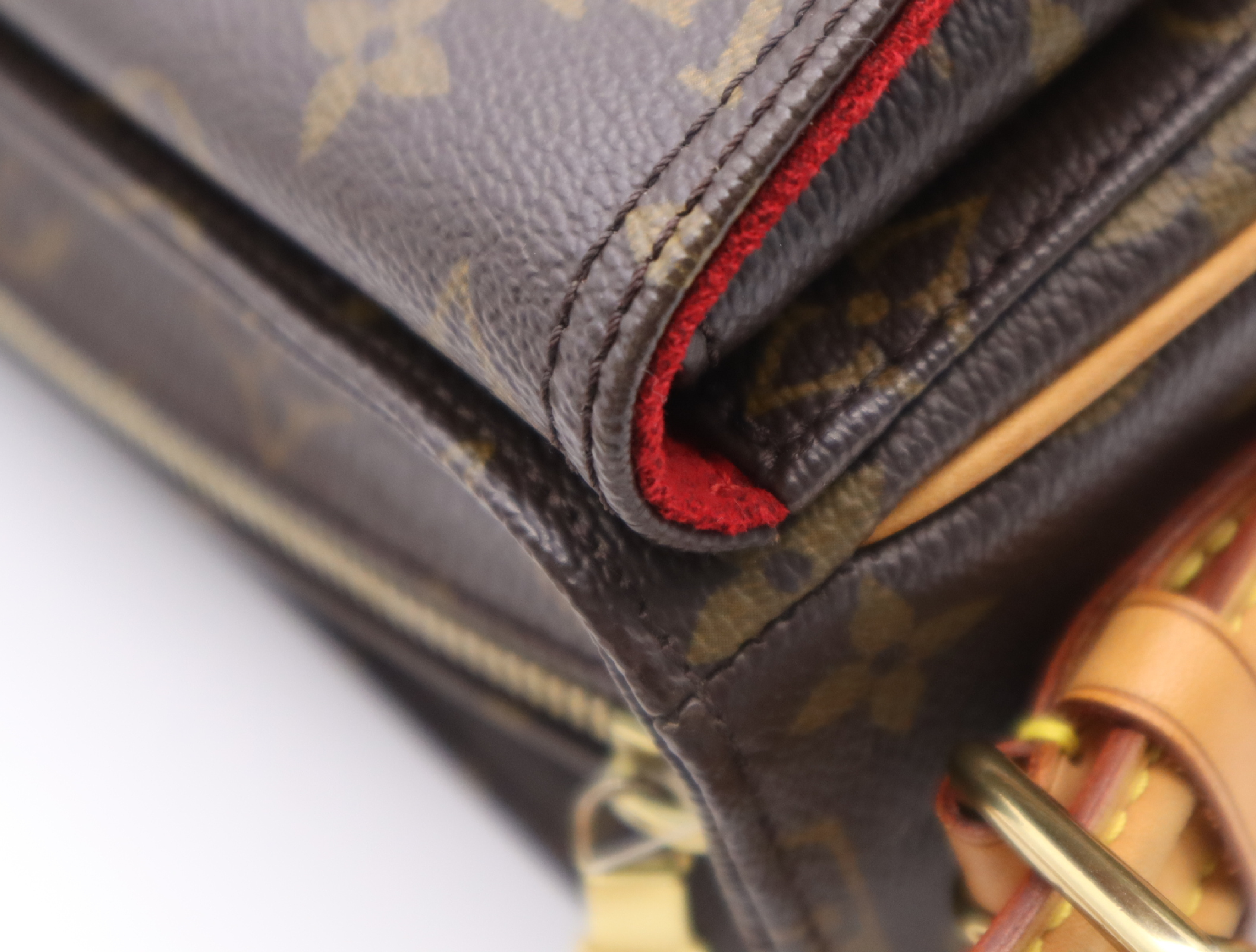 M51164 Monogram Viva Cite MM Shoulder Bag — view 10