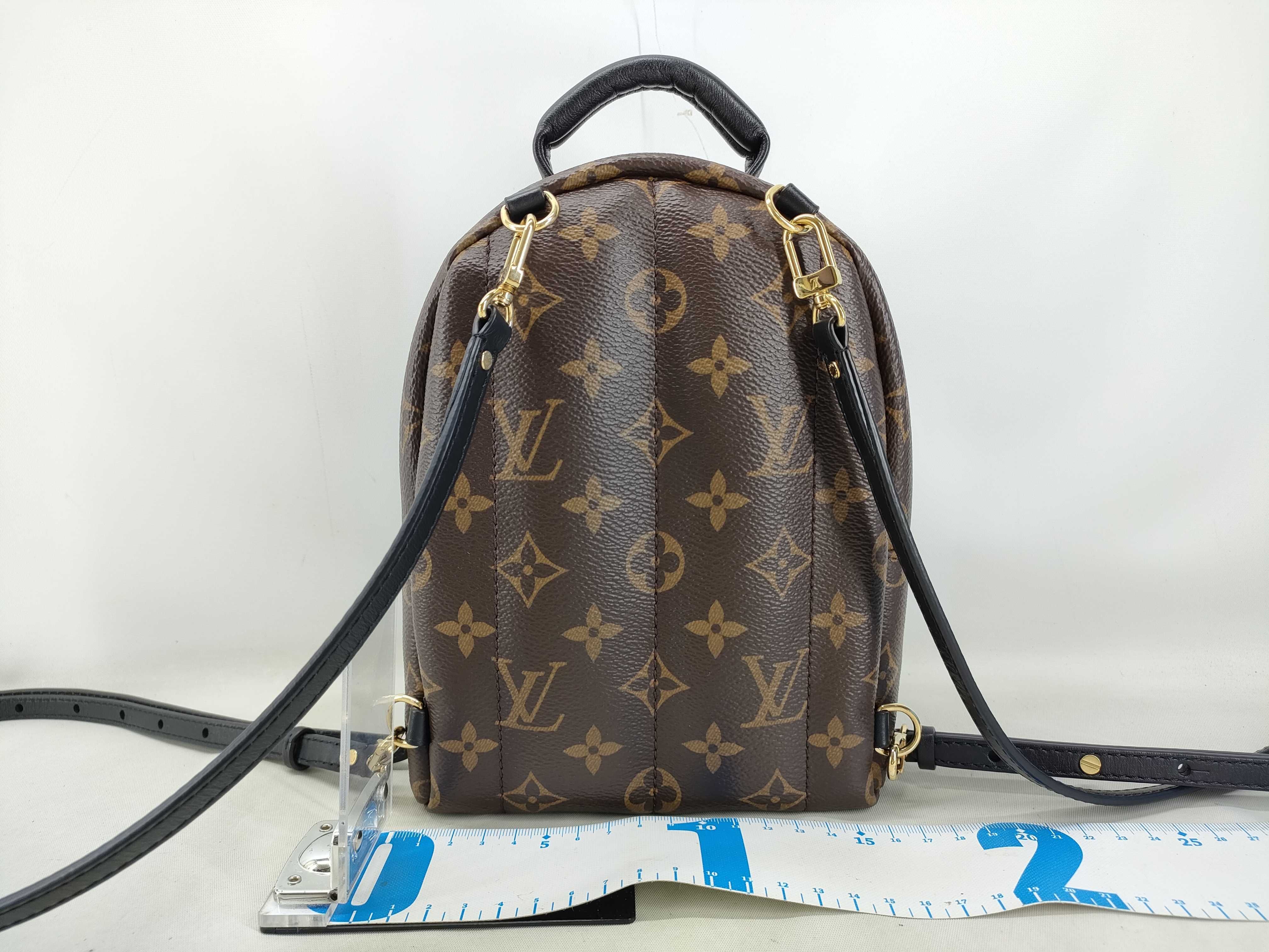 Monogram Palm Springs MINI / Monogram / M44873 / RFIC Backpack — view 2