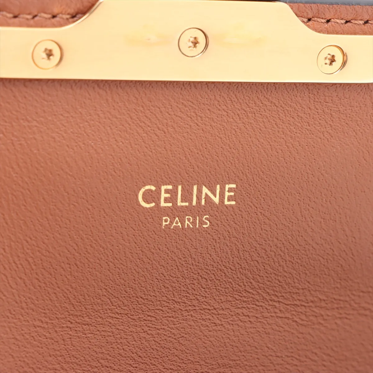 Triomphe Claude PVC x Leather Shoulder Bag Brown — view 8