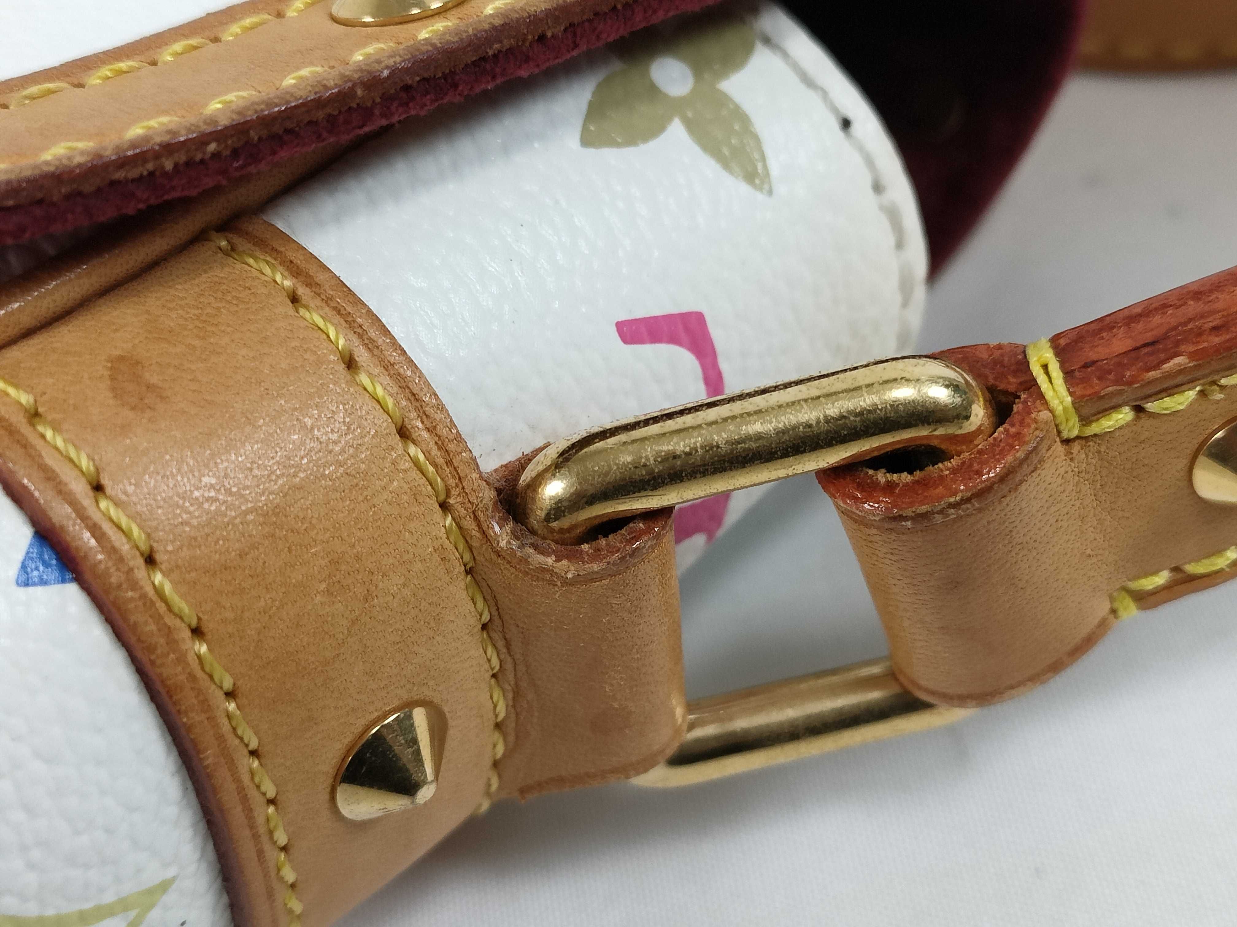Monogram Multicolor Sologne Shoulder Bag — view 5