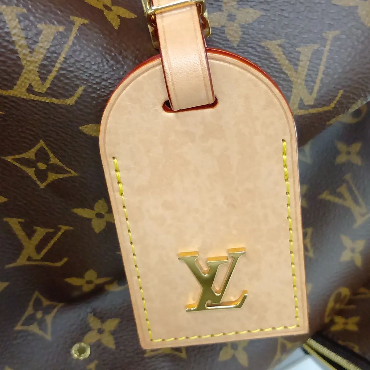 Monogram Atlantis GM M46817 Brown (RFID detected) — view 10