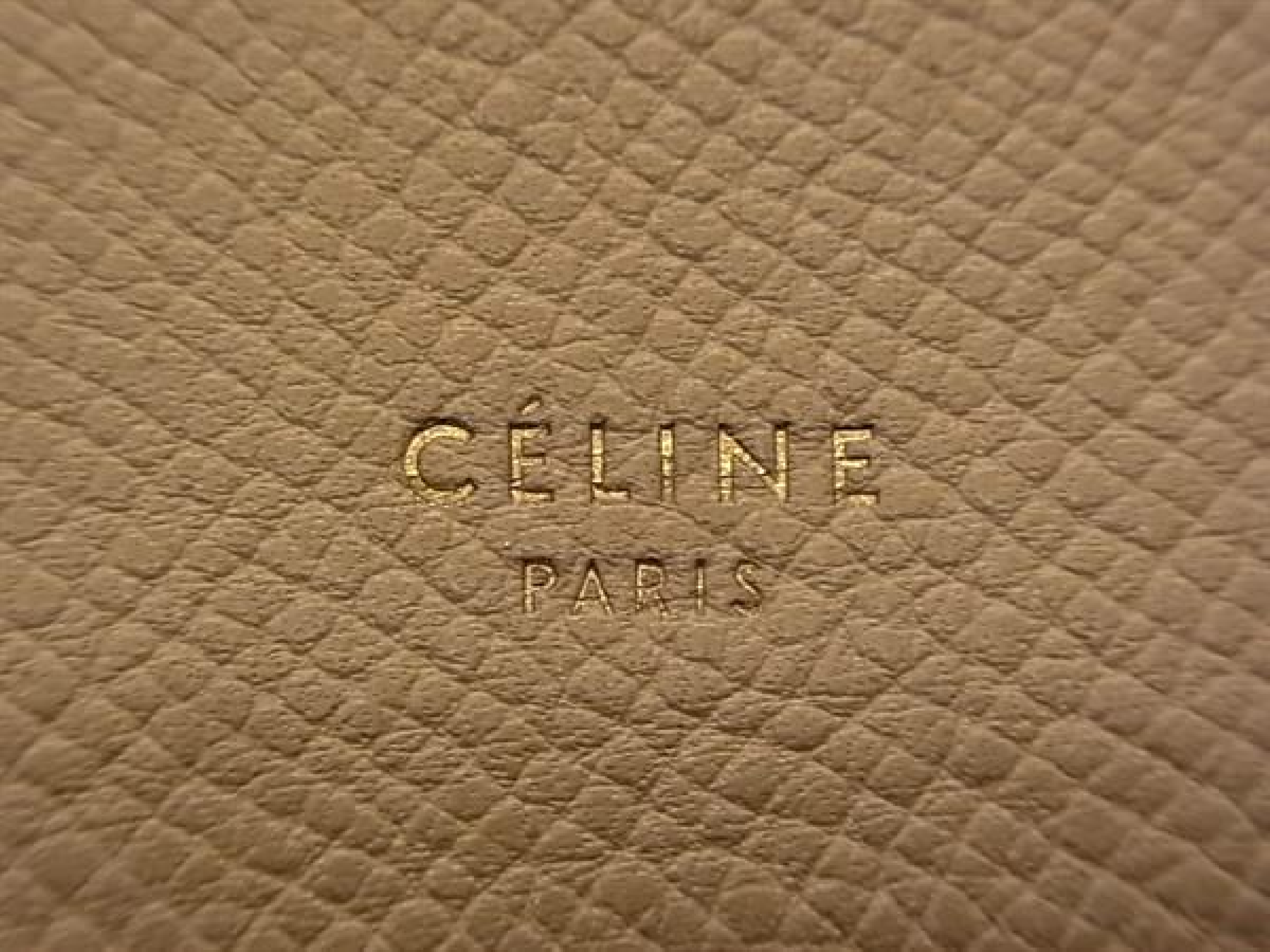 Celine Large Strap Wallet Leather Bifold Long Wallet Billfold Coin Purse Card Holder Beige Wallet — view 6