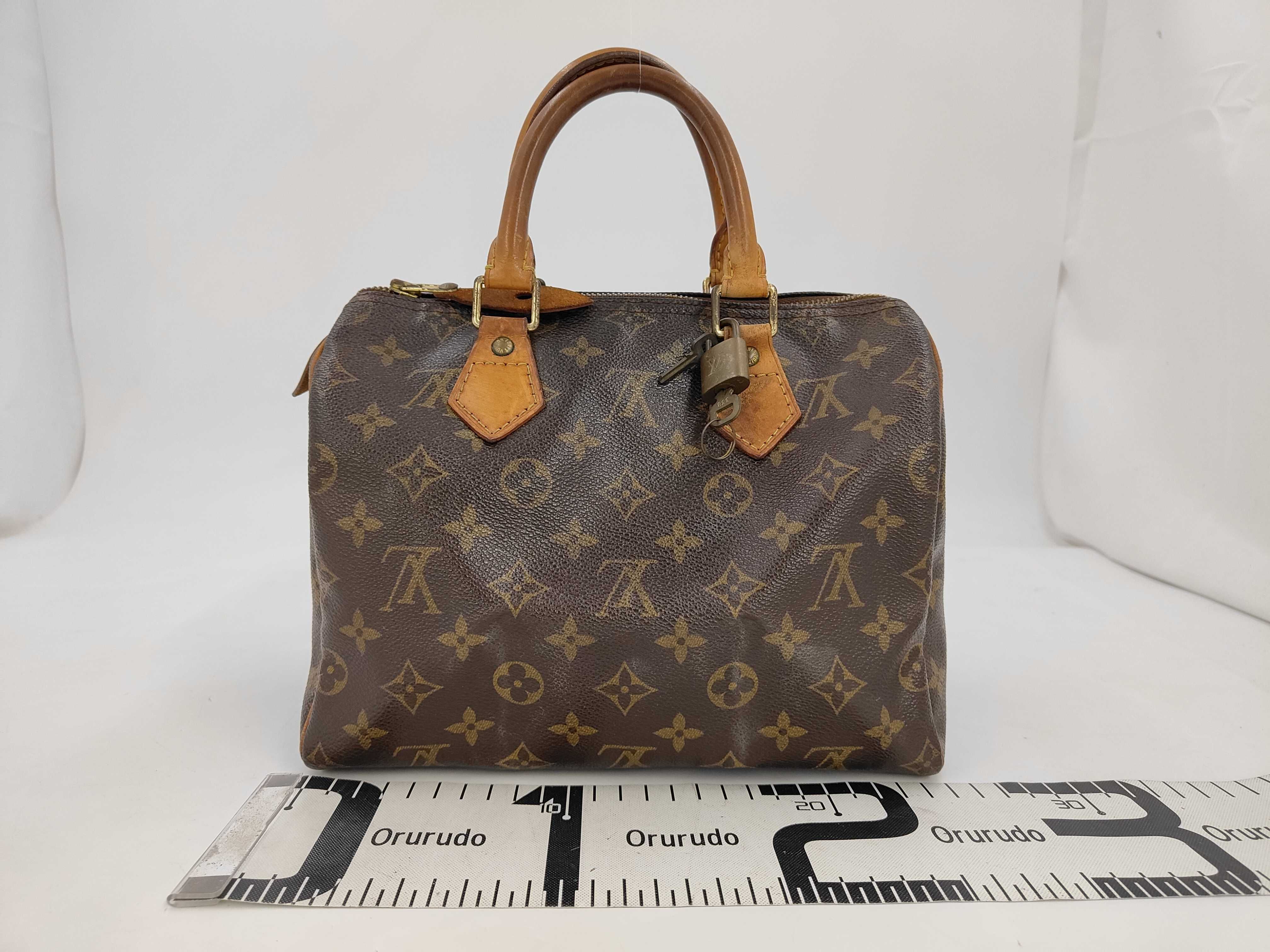 Speedy 25 M41528 Monogram Handbag — view 2