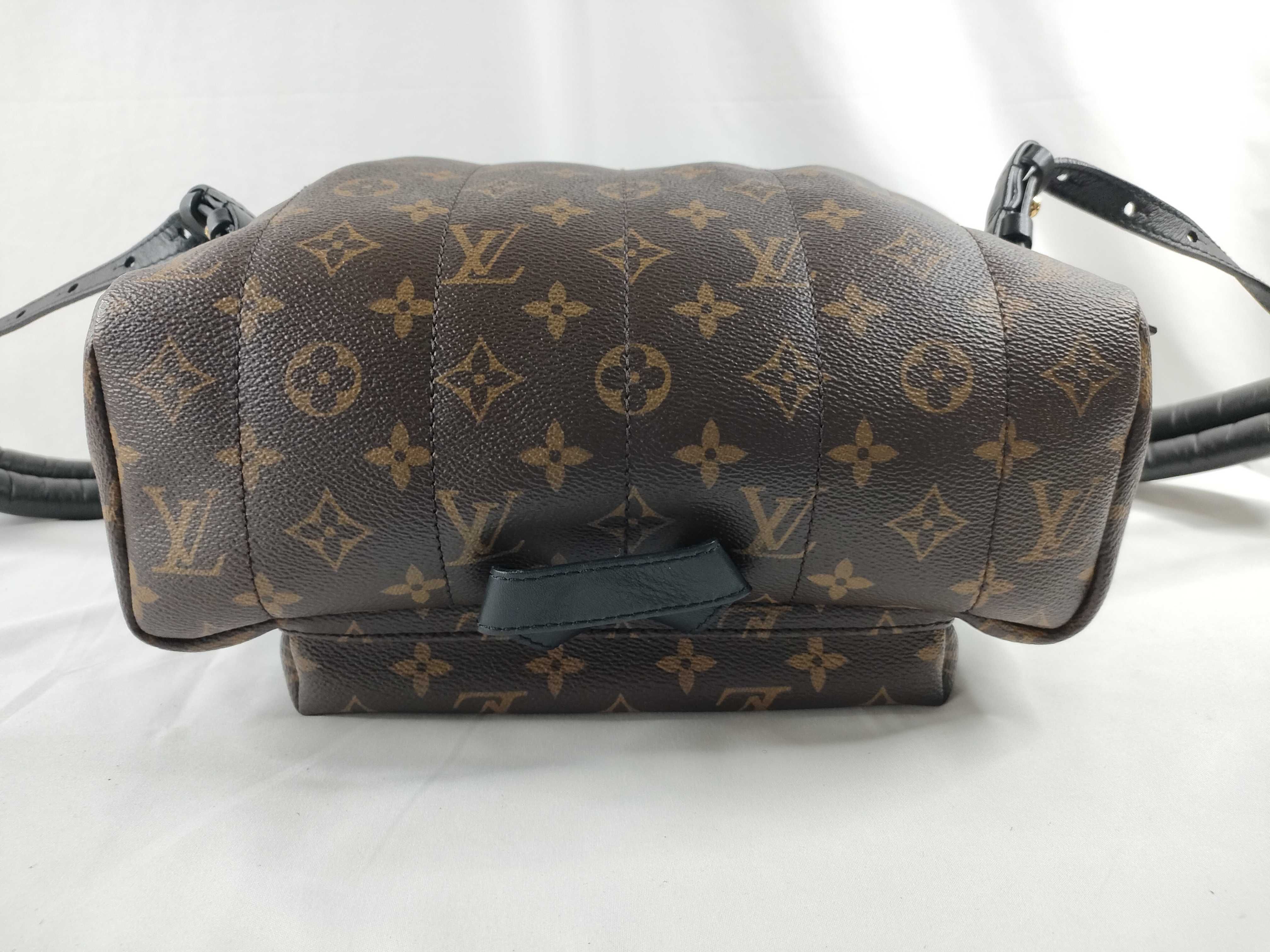 Monogram LV Palm Springs Brown Monogram Medium Rucksack — view 4