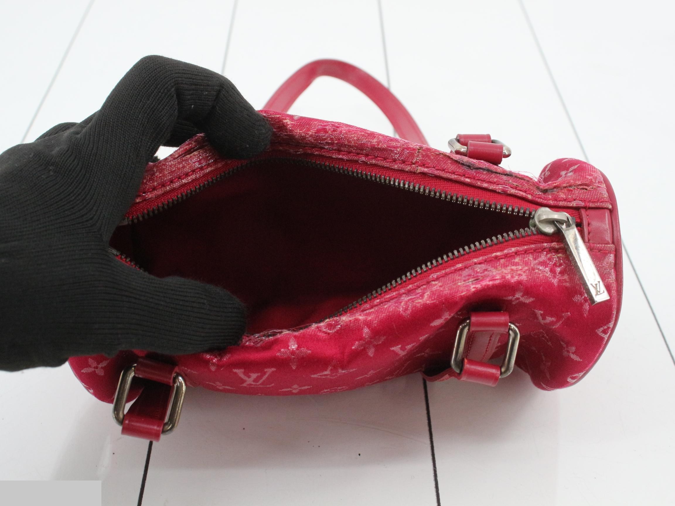 Little Papillon — view 4