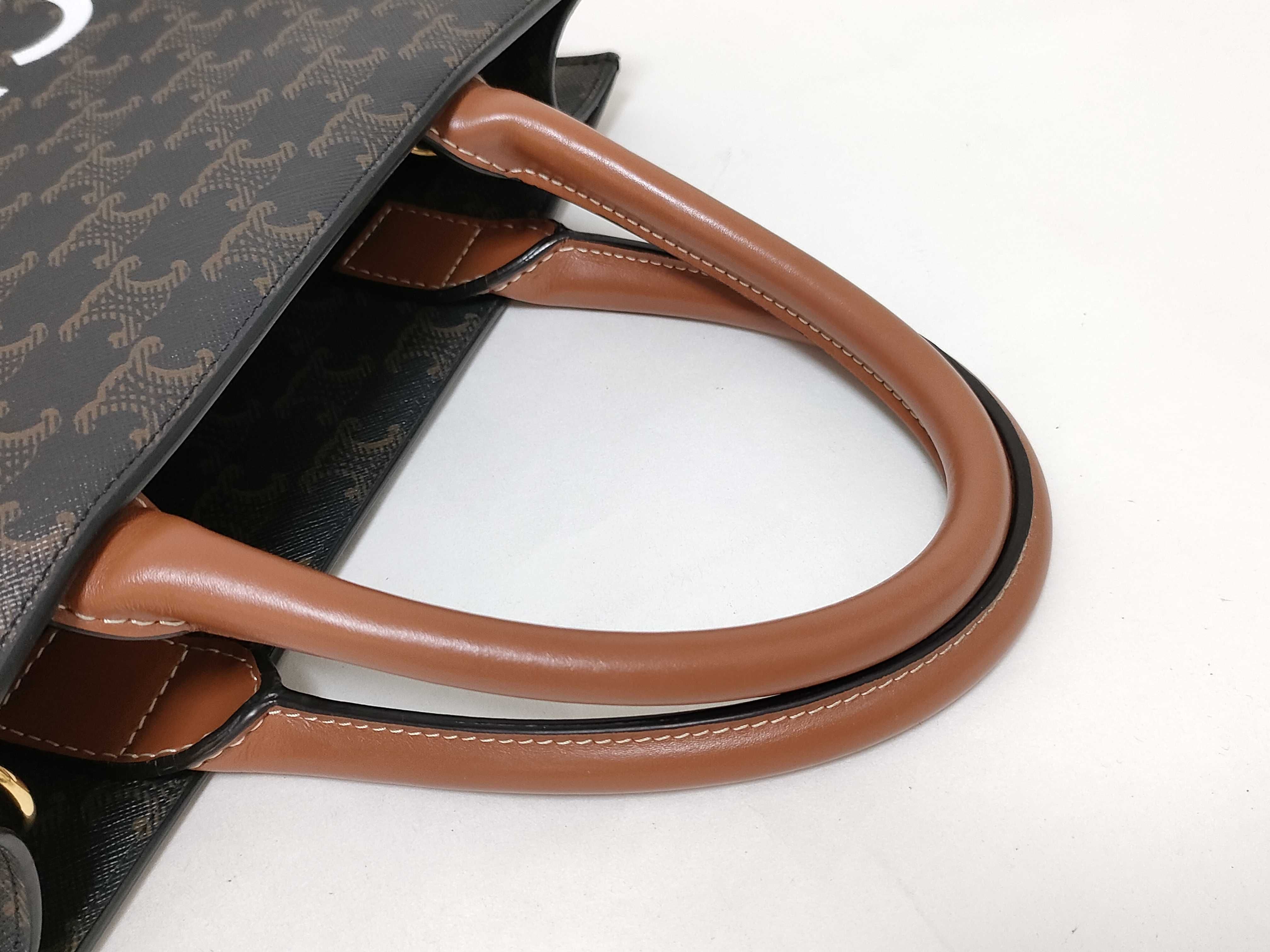 Triomphe Vertical Cabas PVC x Leather 2-Way Handbag Brown Handbag — view 3