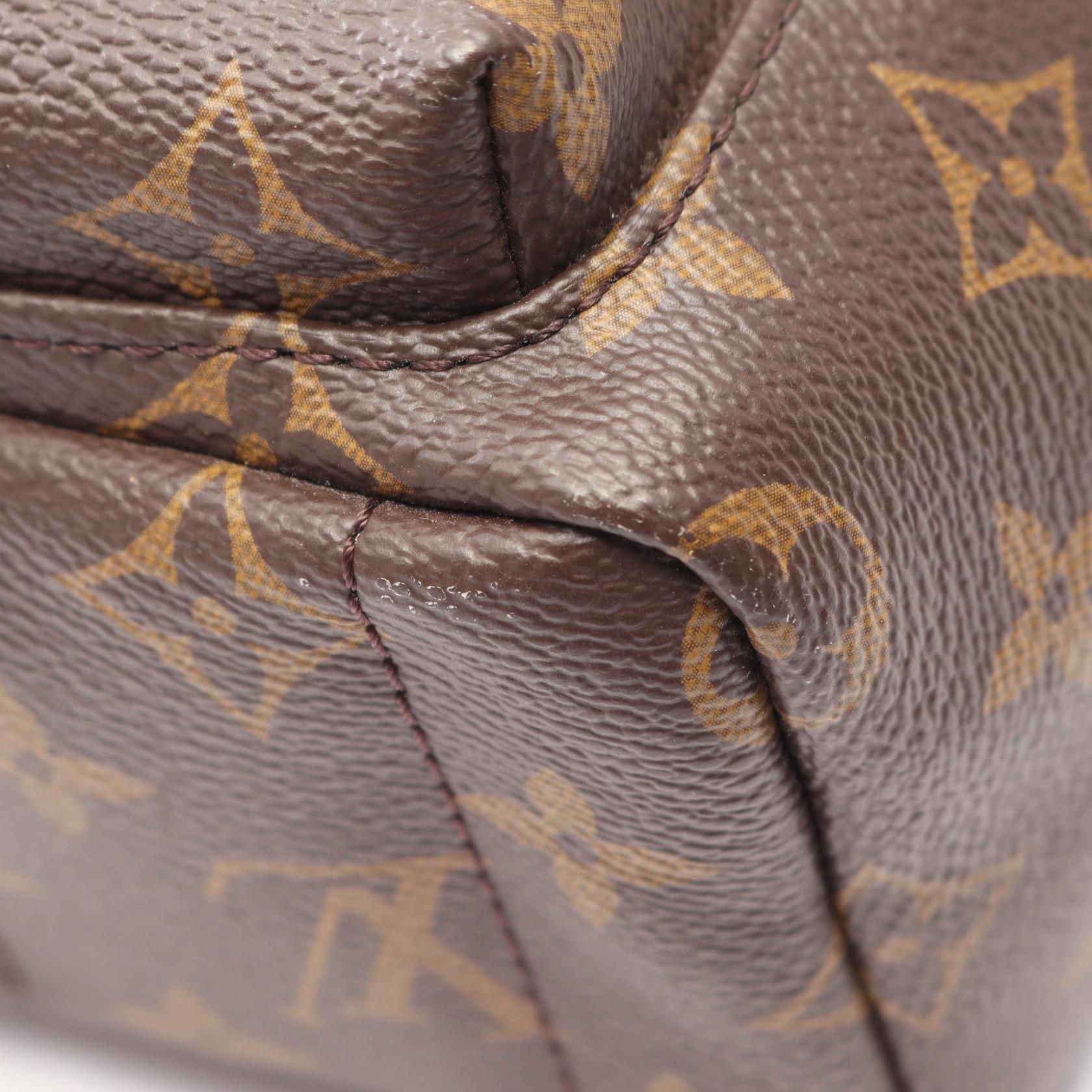 Palm Springs Mini, Monogram — view 6