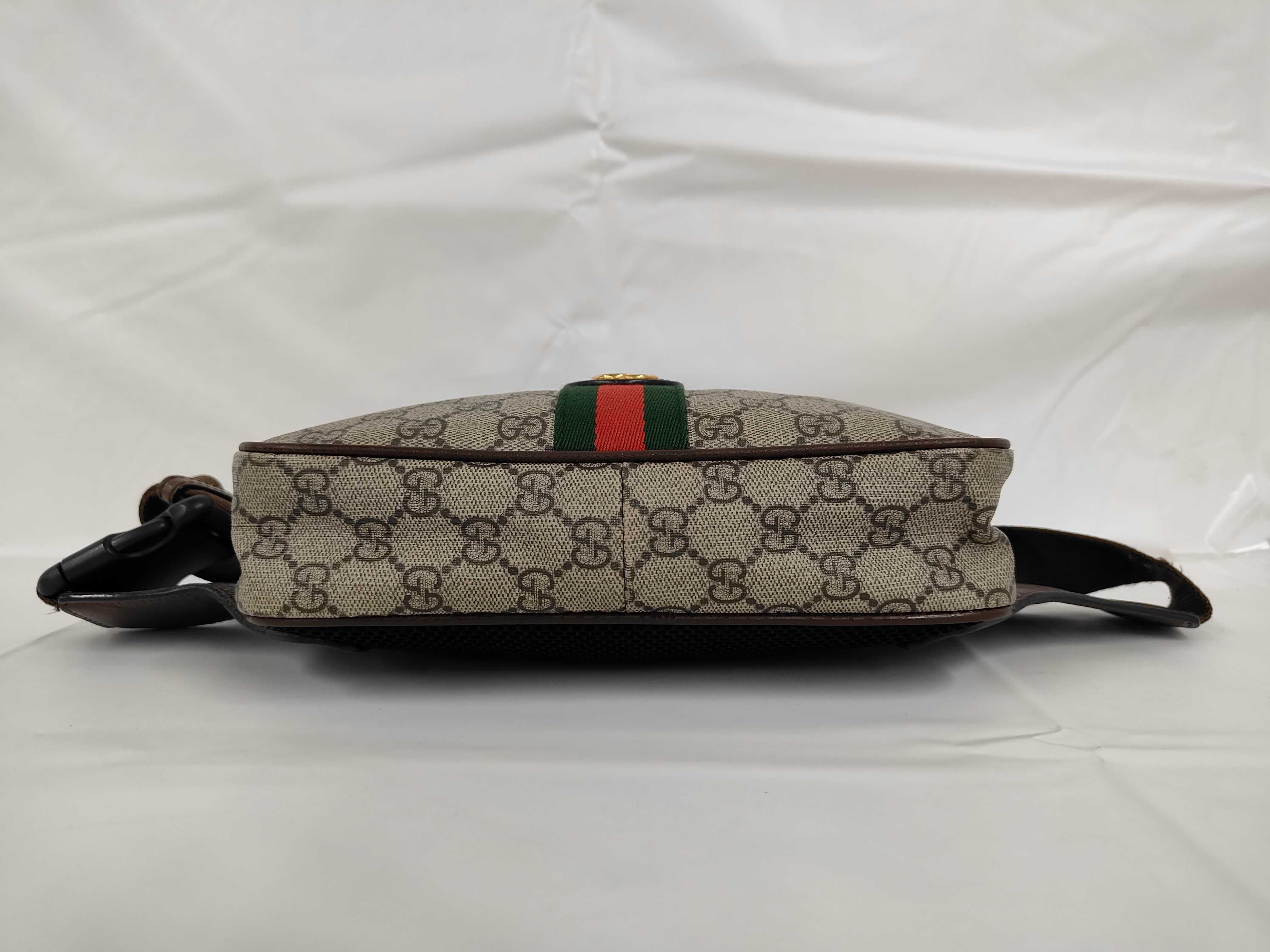 Ophidia Waist Bag 574796520981 — view 3