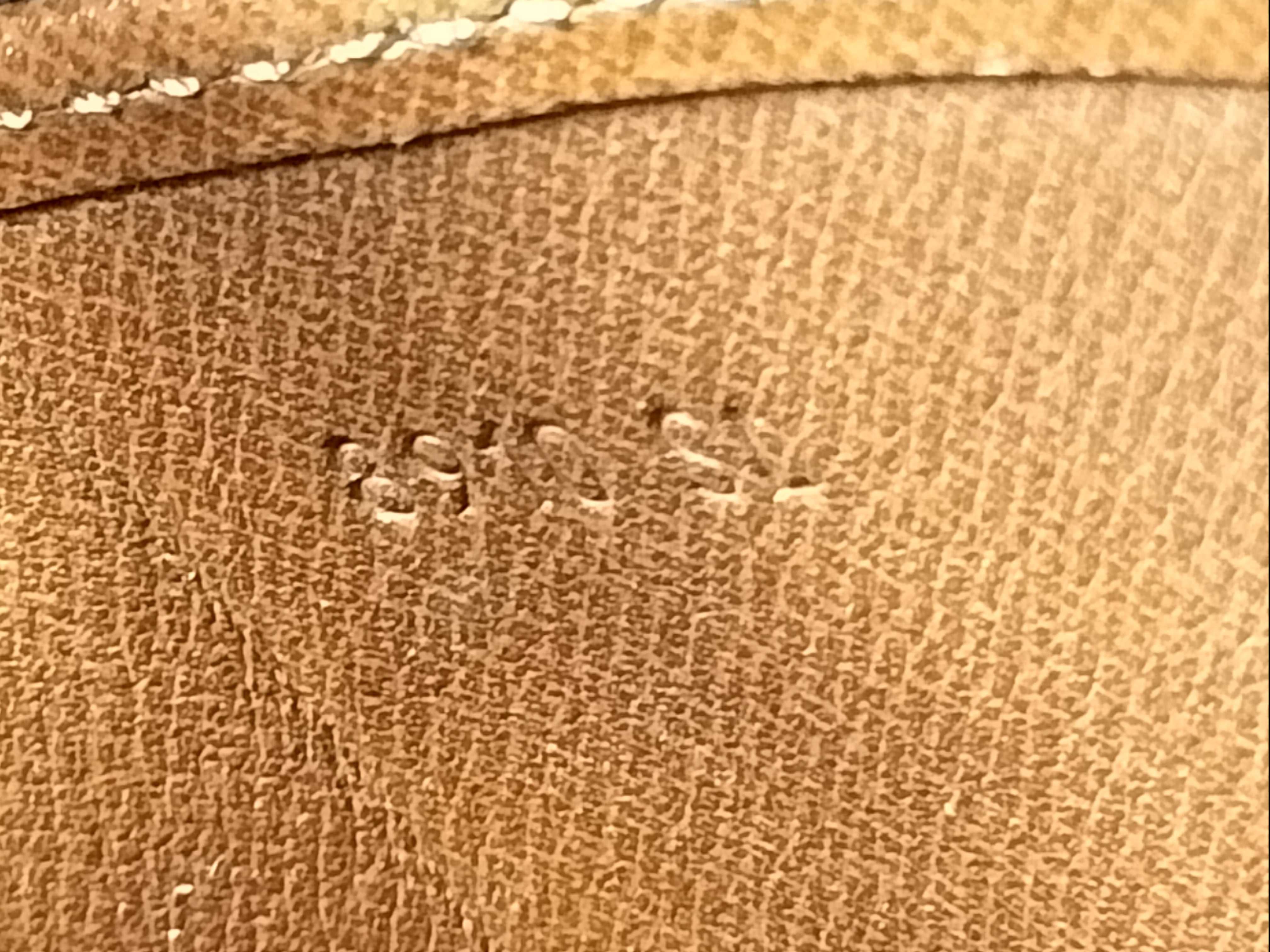Monogram Vuitton Cartouchiere Shoulder Bag — view 12