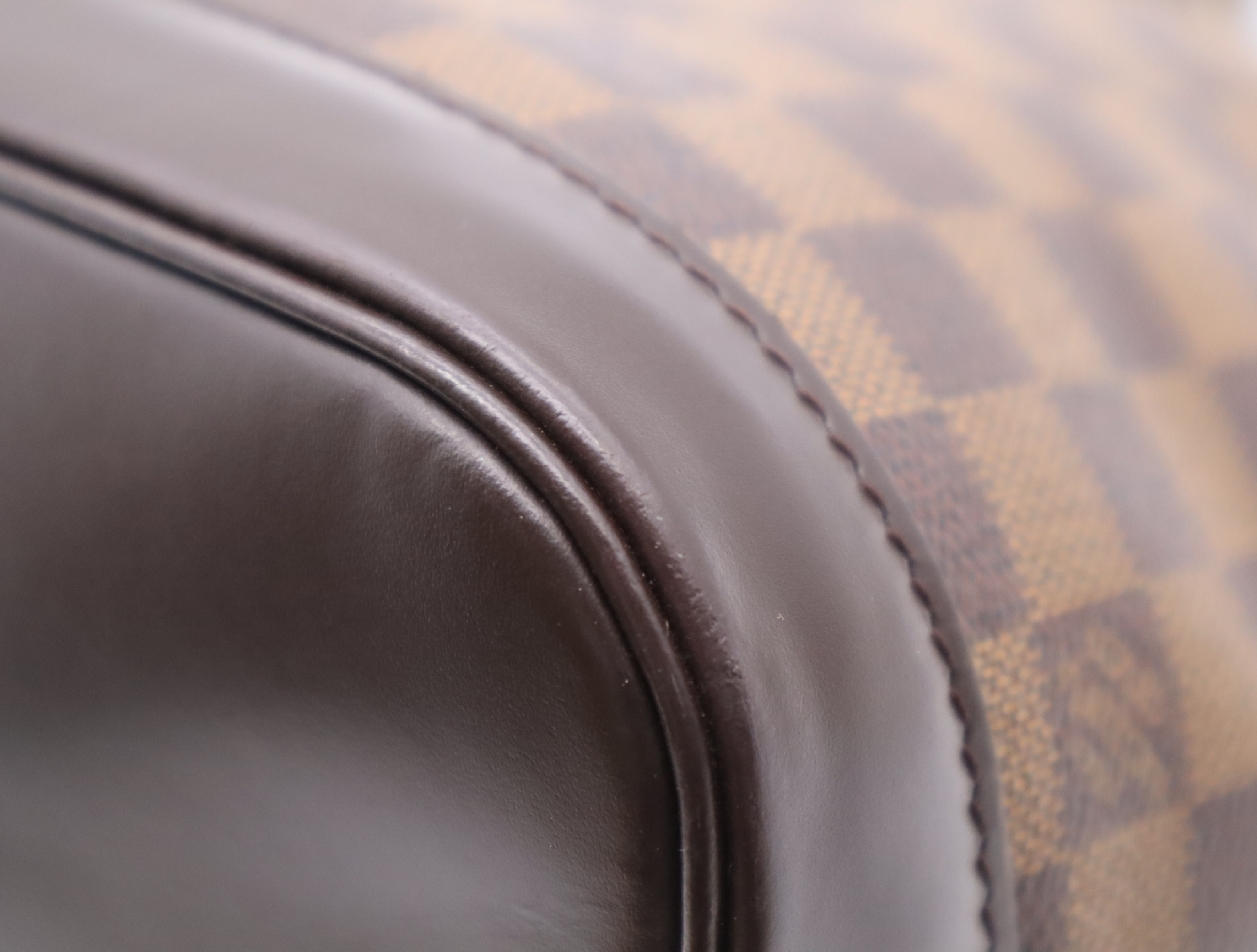 N51131 Damier Alma Handbag — view 7