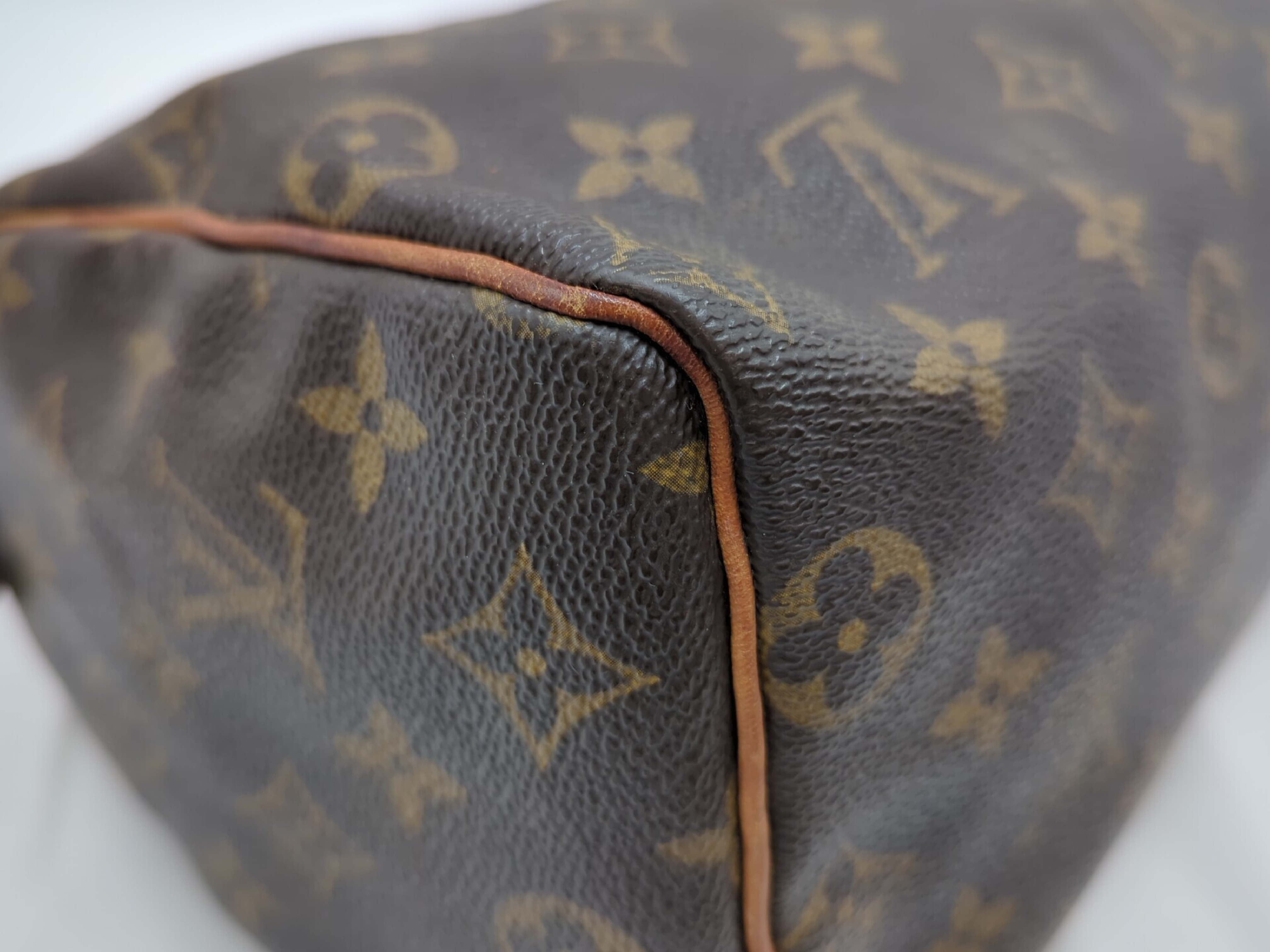 M41528 Monogram Speedy 25 Handbag — view 3