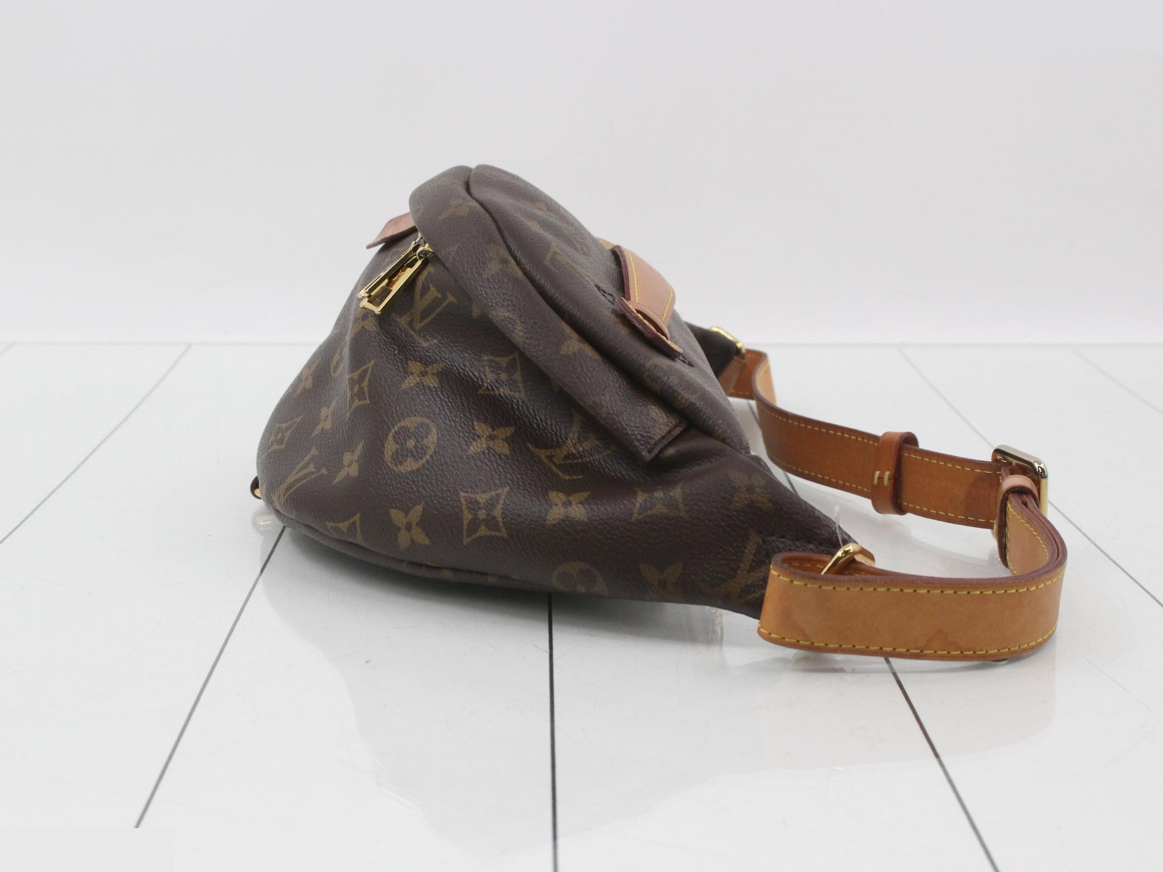 Monogram Bum Bag Waist Bag — view 3