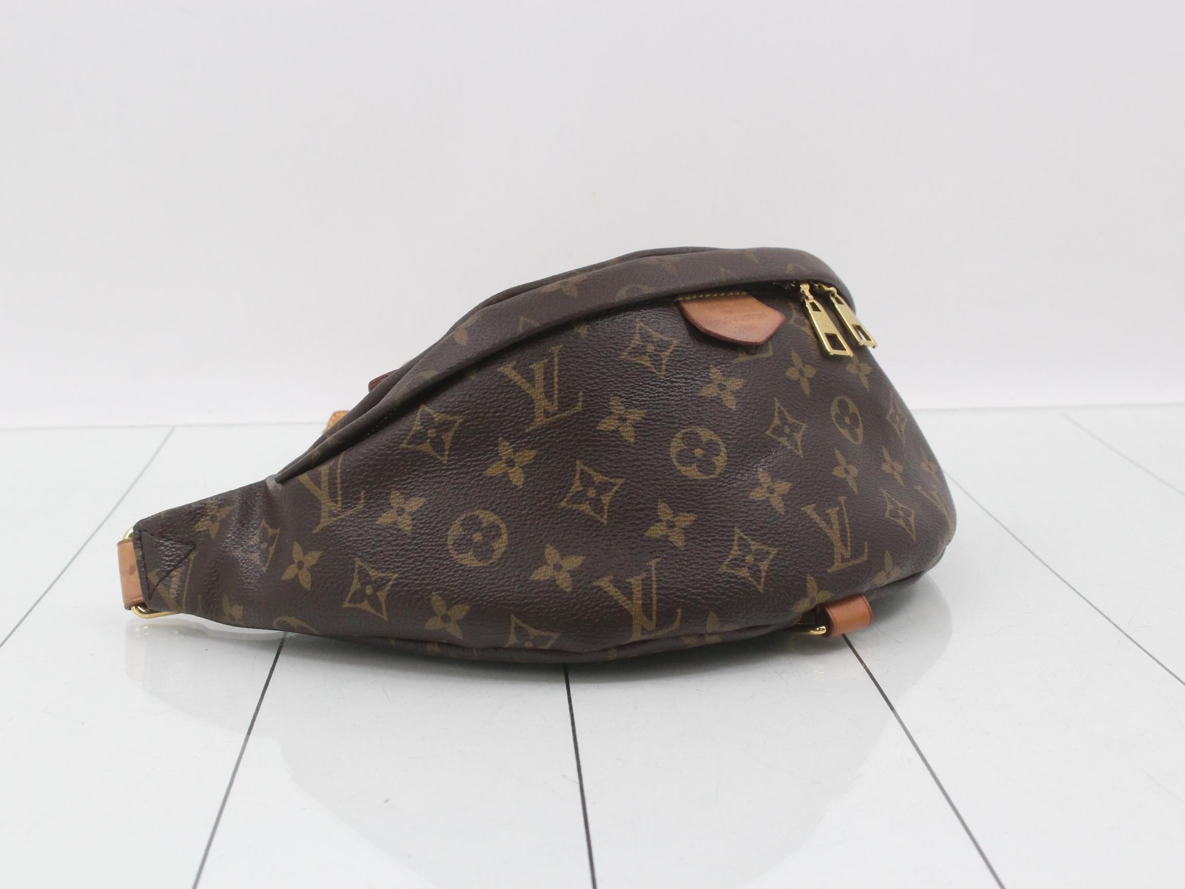 Monogram Bum Bag Waist Bag — view 5