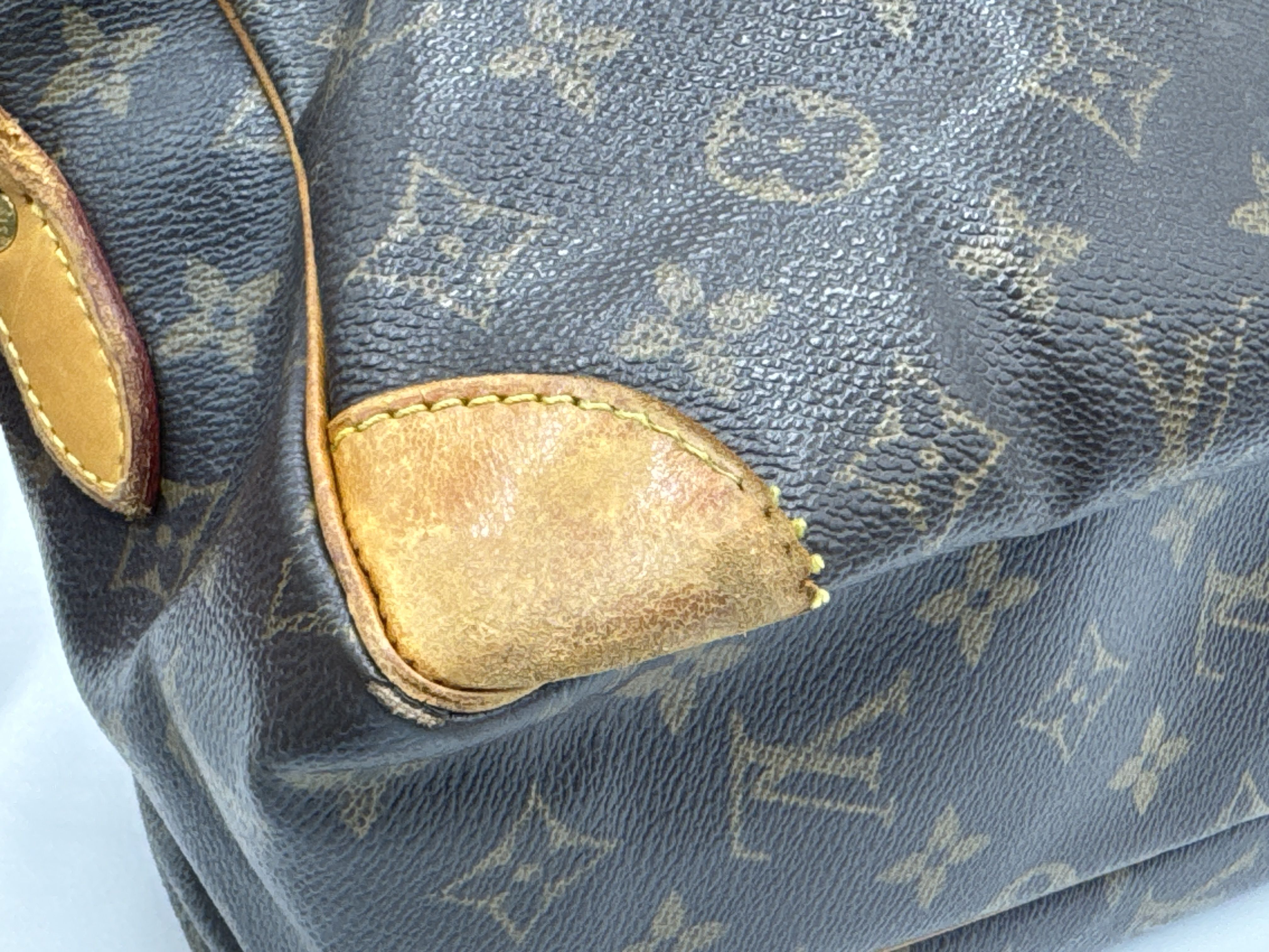 Monogram Nile M45244 AR0053 Shoulder Bag — view 5