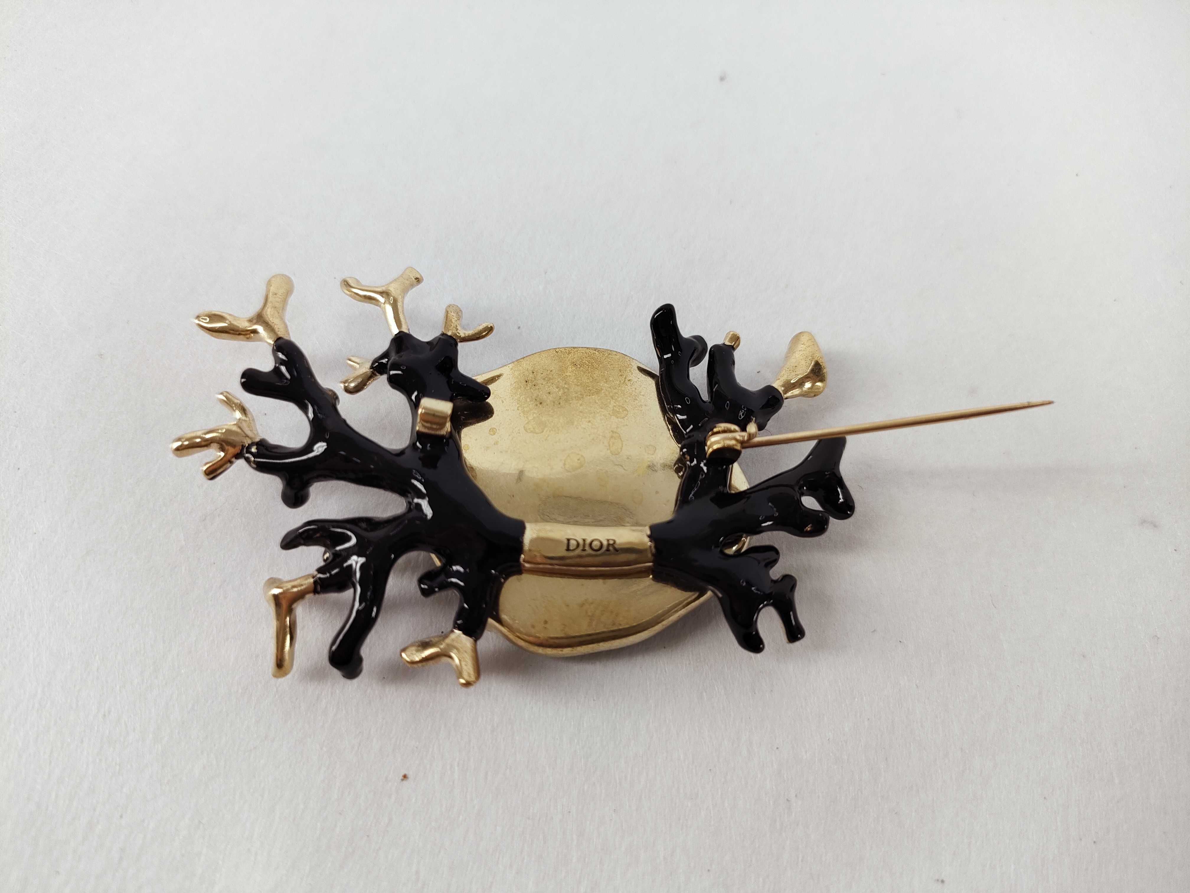 Coral Brooch — view 3