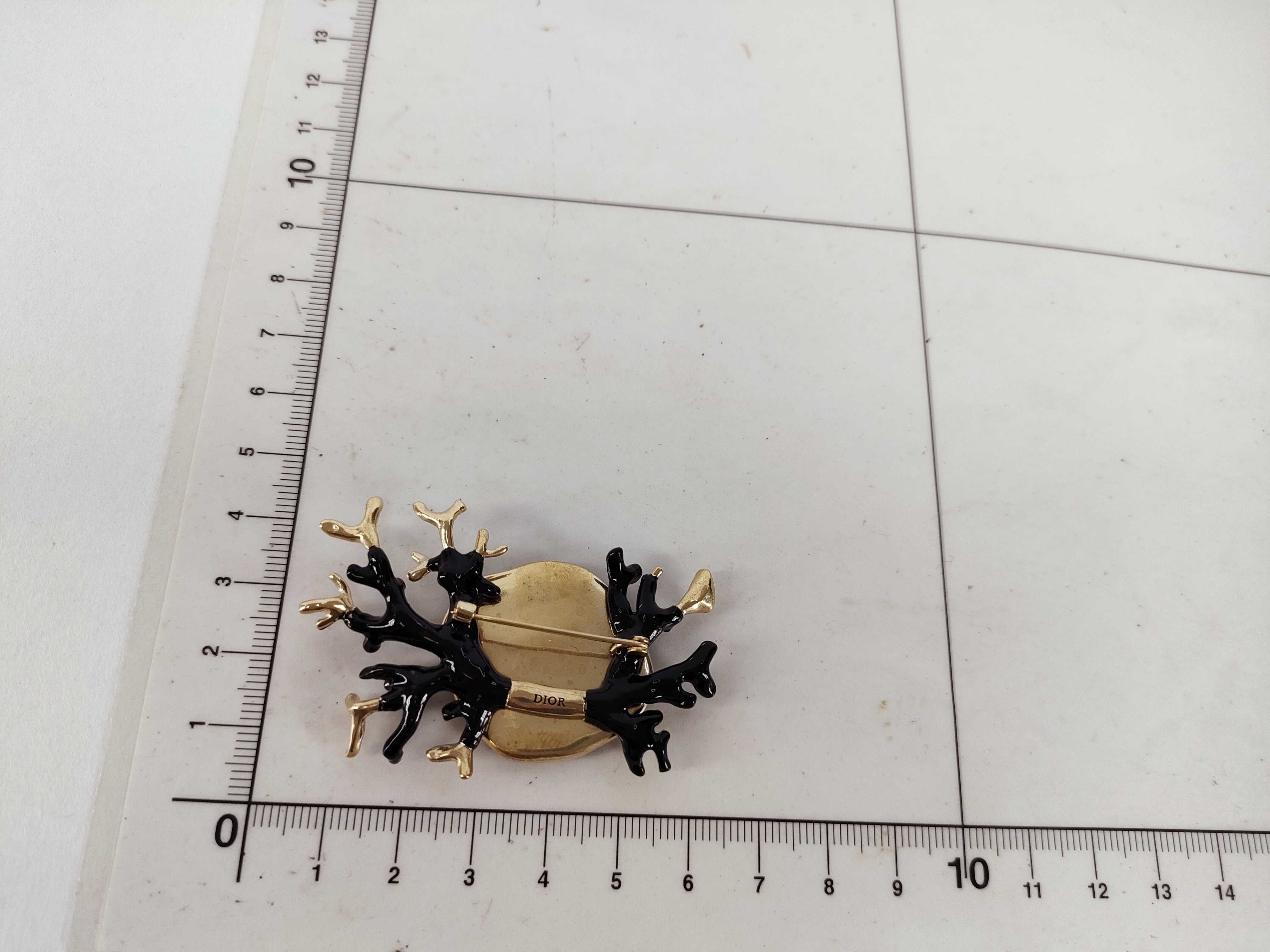 Coral Brooch — view 10
