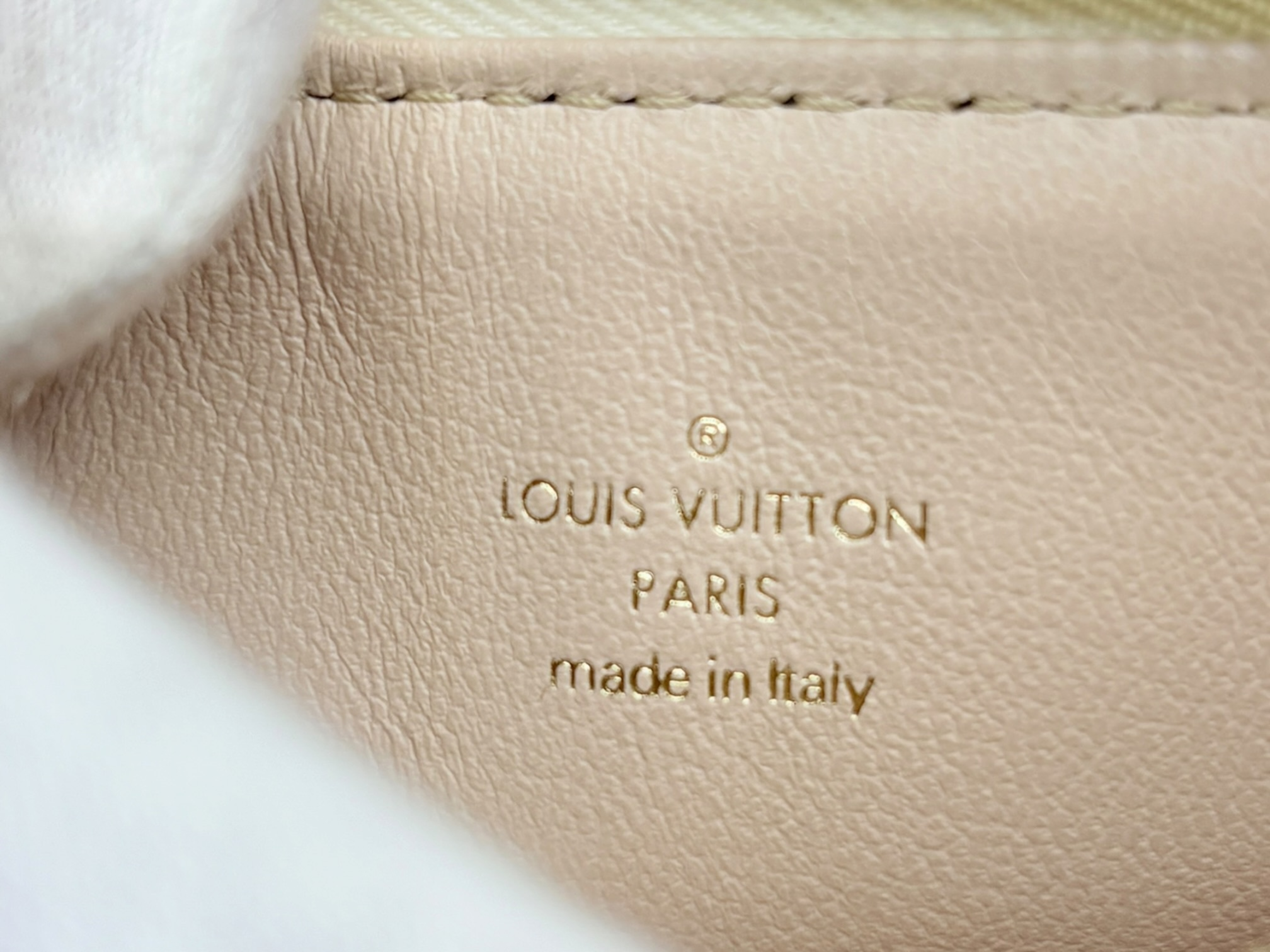 LV by the Pool Coussin BB M22954 White RFID detected shoulder bag — view 10