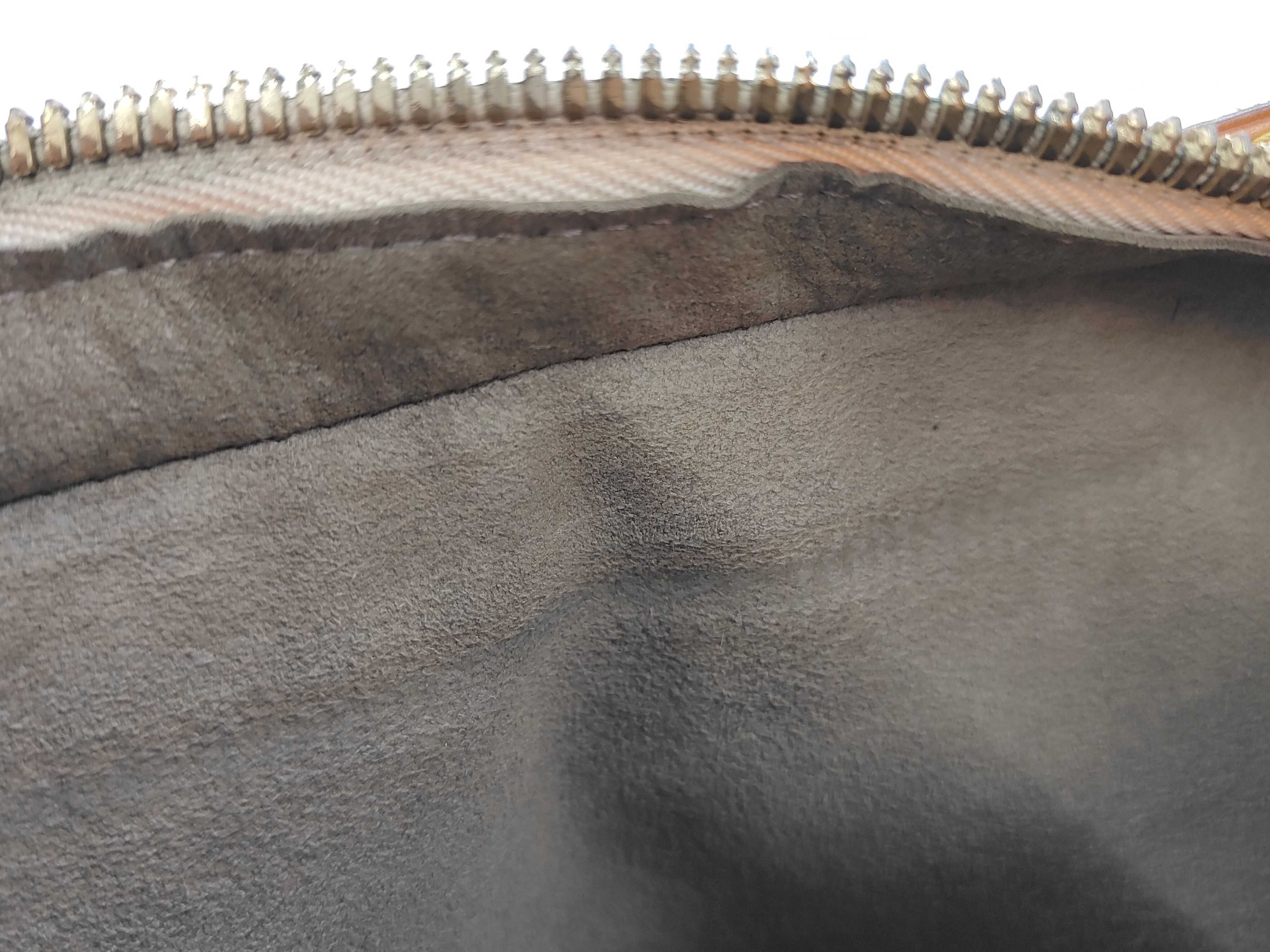 LV Lodge Multicolor Shoulder Bag — view 11