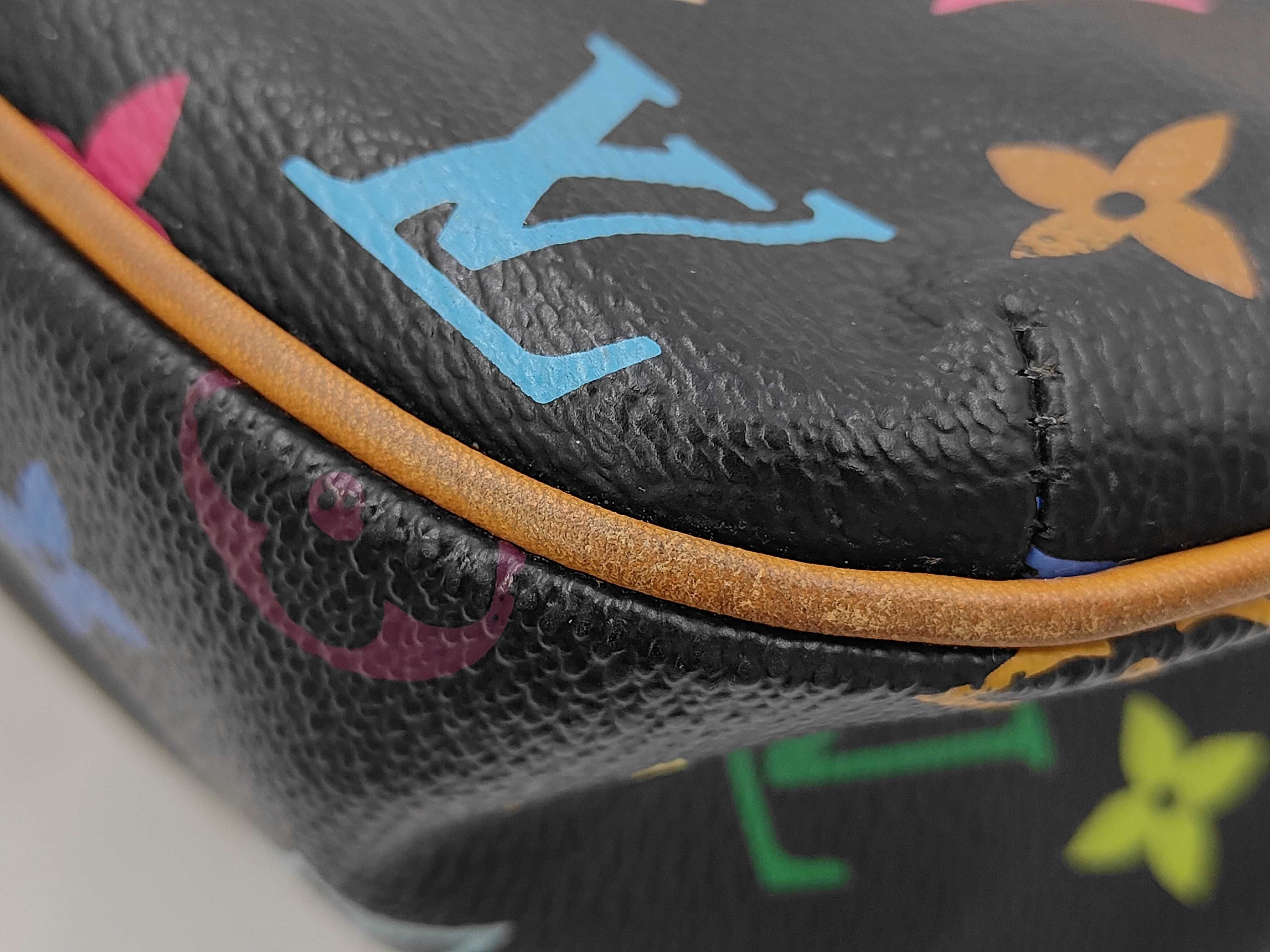 LV Lodge Multicolor Shoulder Bag — view 4